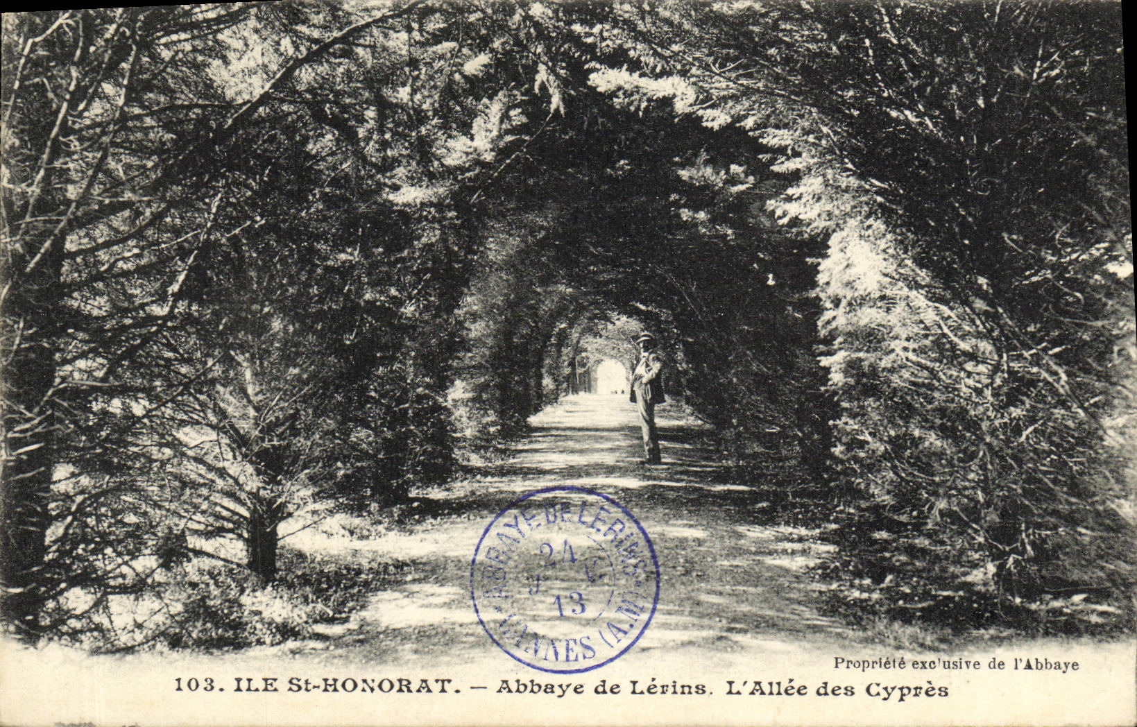 CPA lle Saint Honorat Abbaye de Lerins L Allee des Cypres