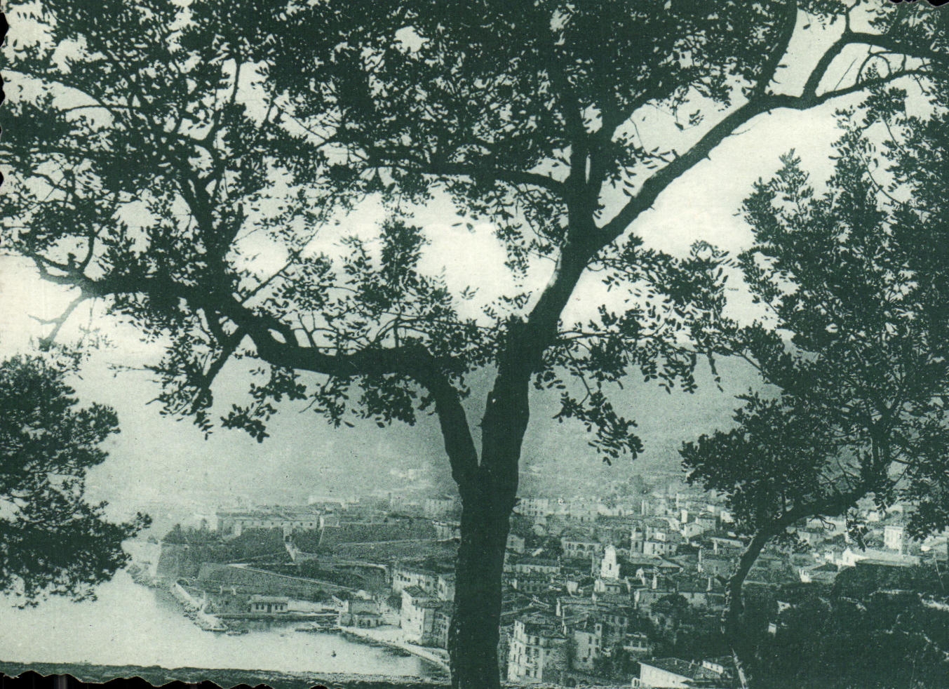 CPA Vue de Villefranche 