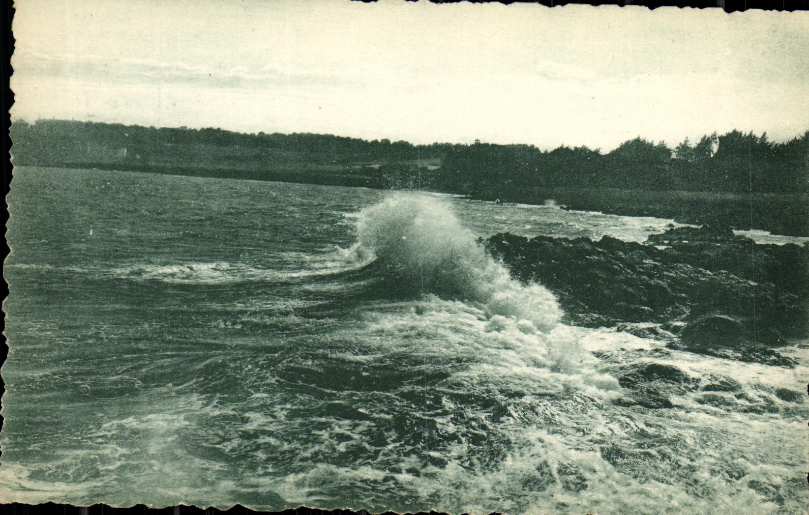 CPA Pres du Cap Antibes