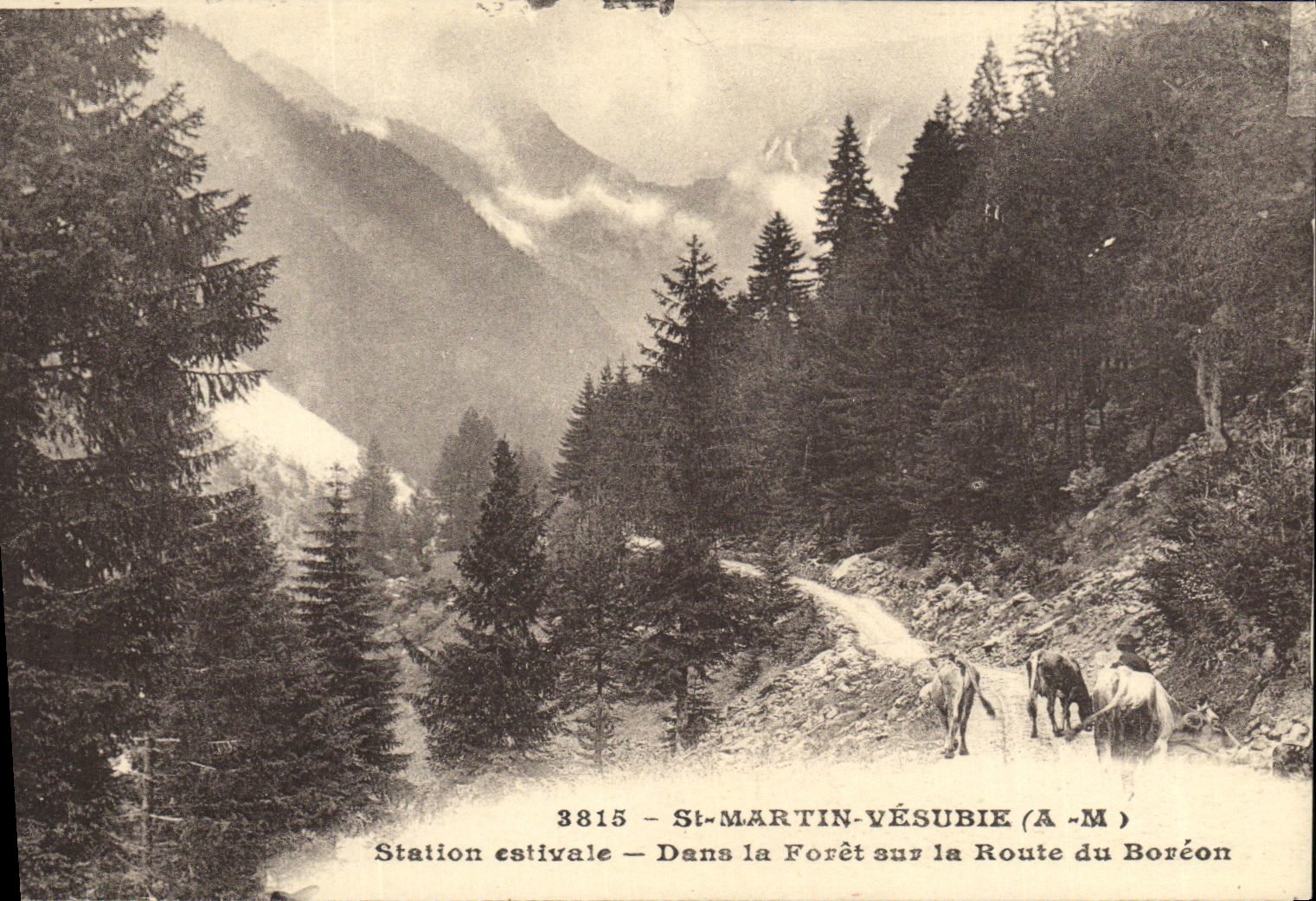 VINTAGE POSTCARD St Martin Versubie Estival Station In the Drill on the Road of Boreon
