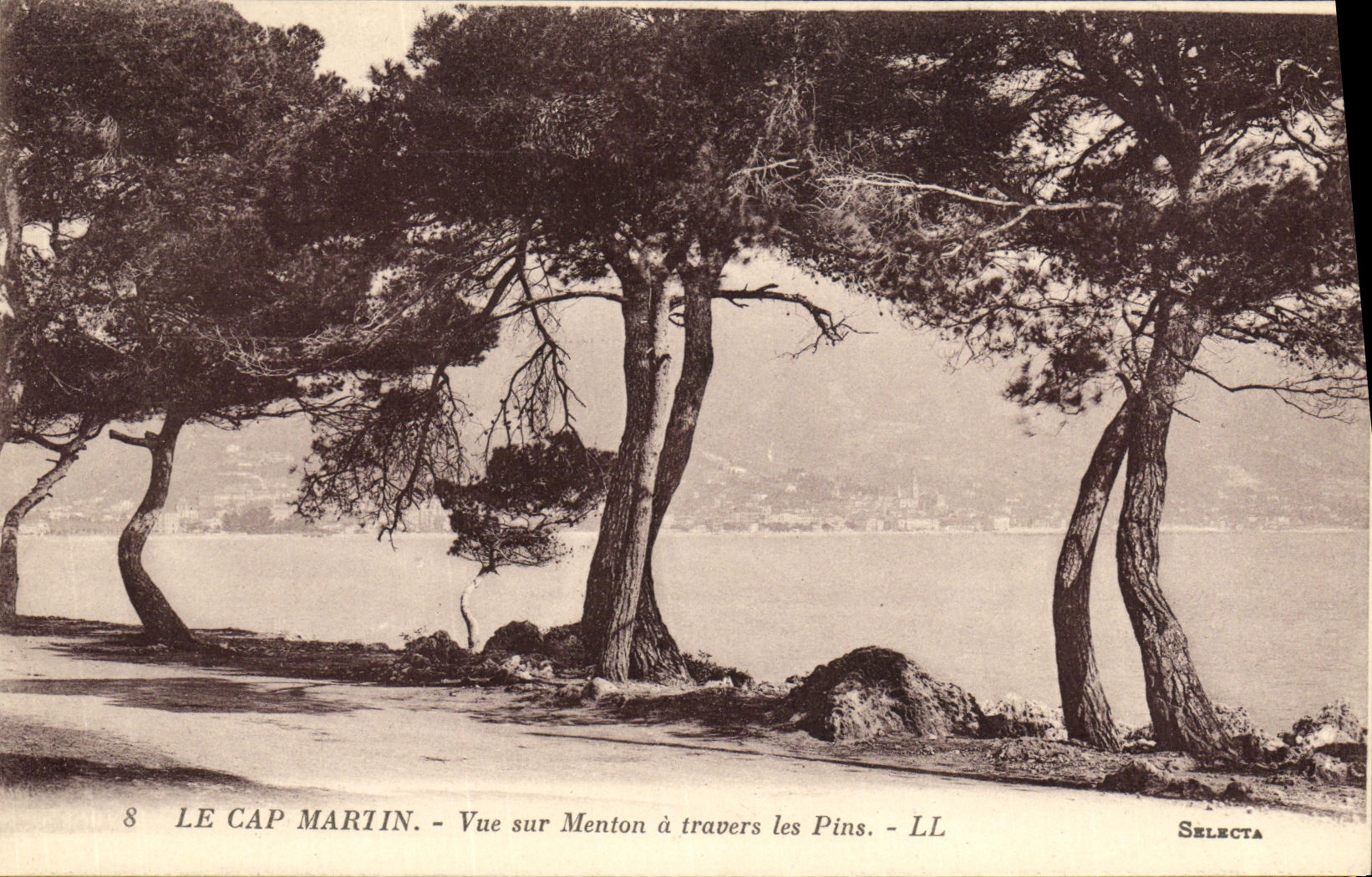 CPA Le Cap Martin Vue sur Menton a travers les Pins