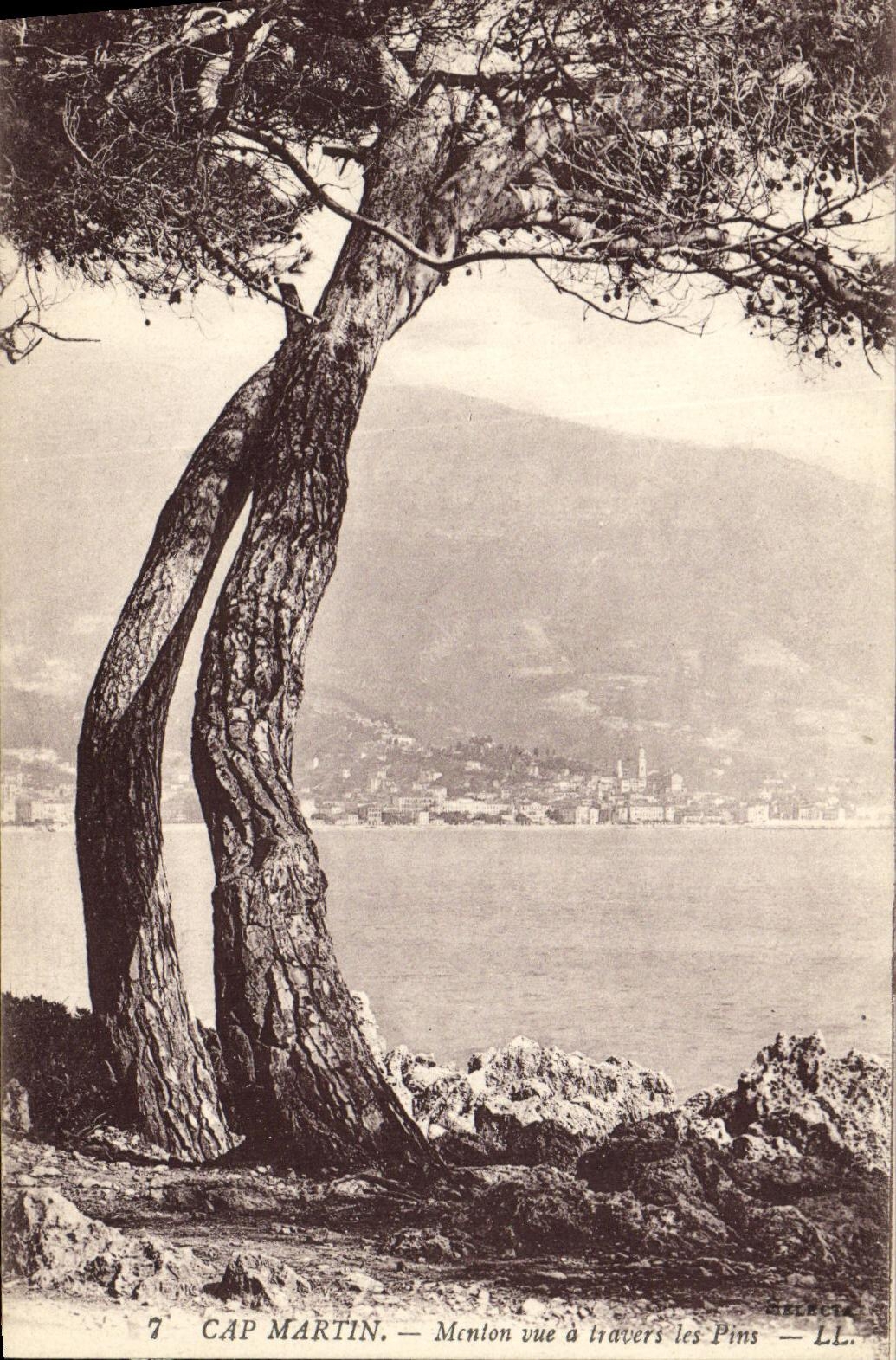 CPA Cap Martin Menton vue a travers les Pins