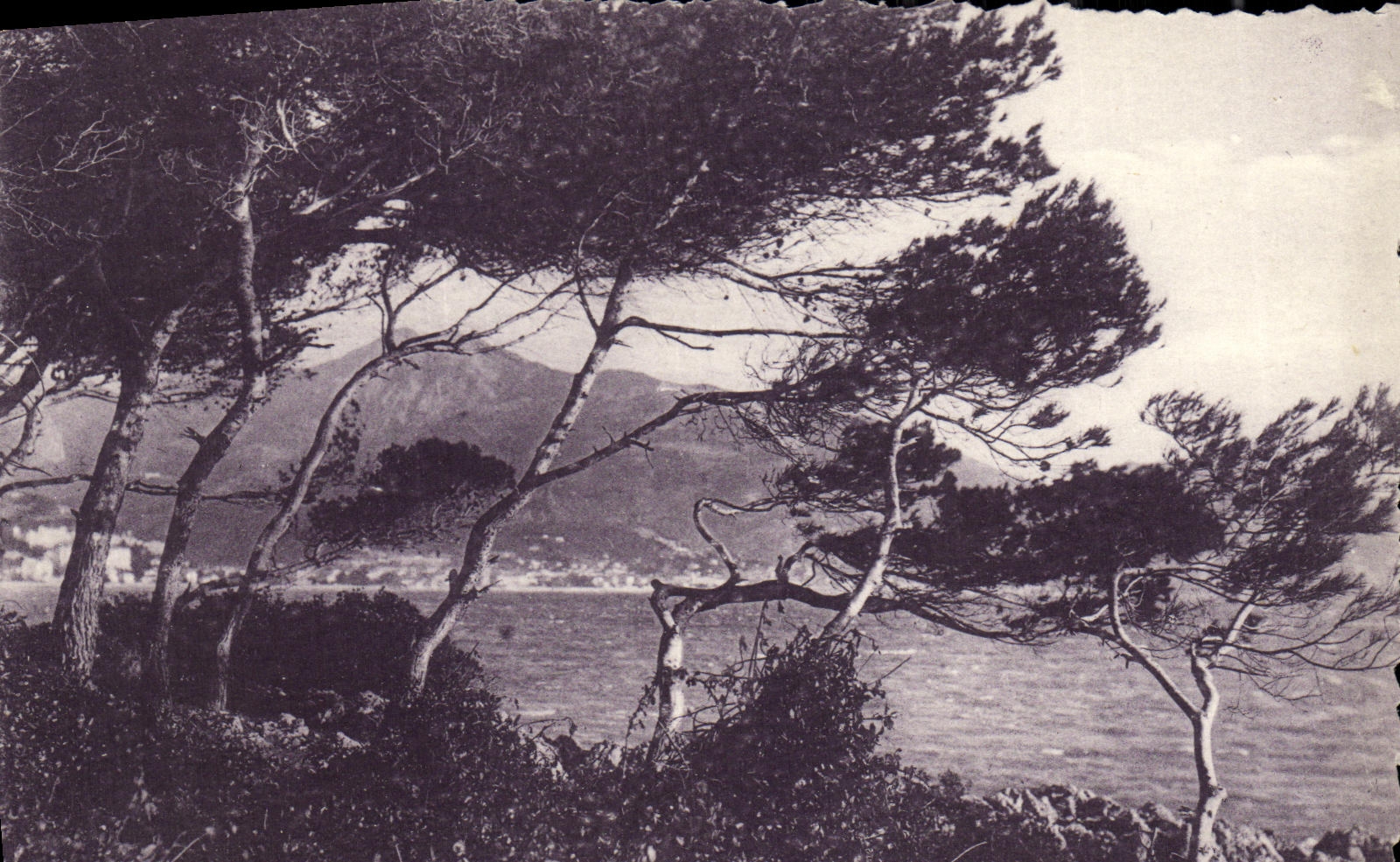 CPA Au Cap Martin