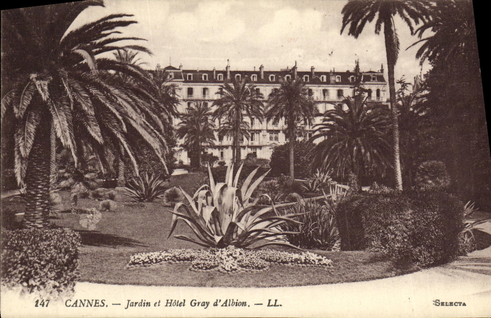 VINTAGE POSTCARD Cannes Garden and Hotel Gray D Albion
