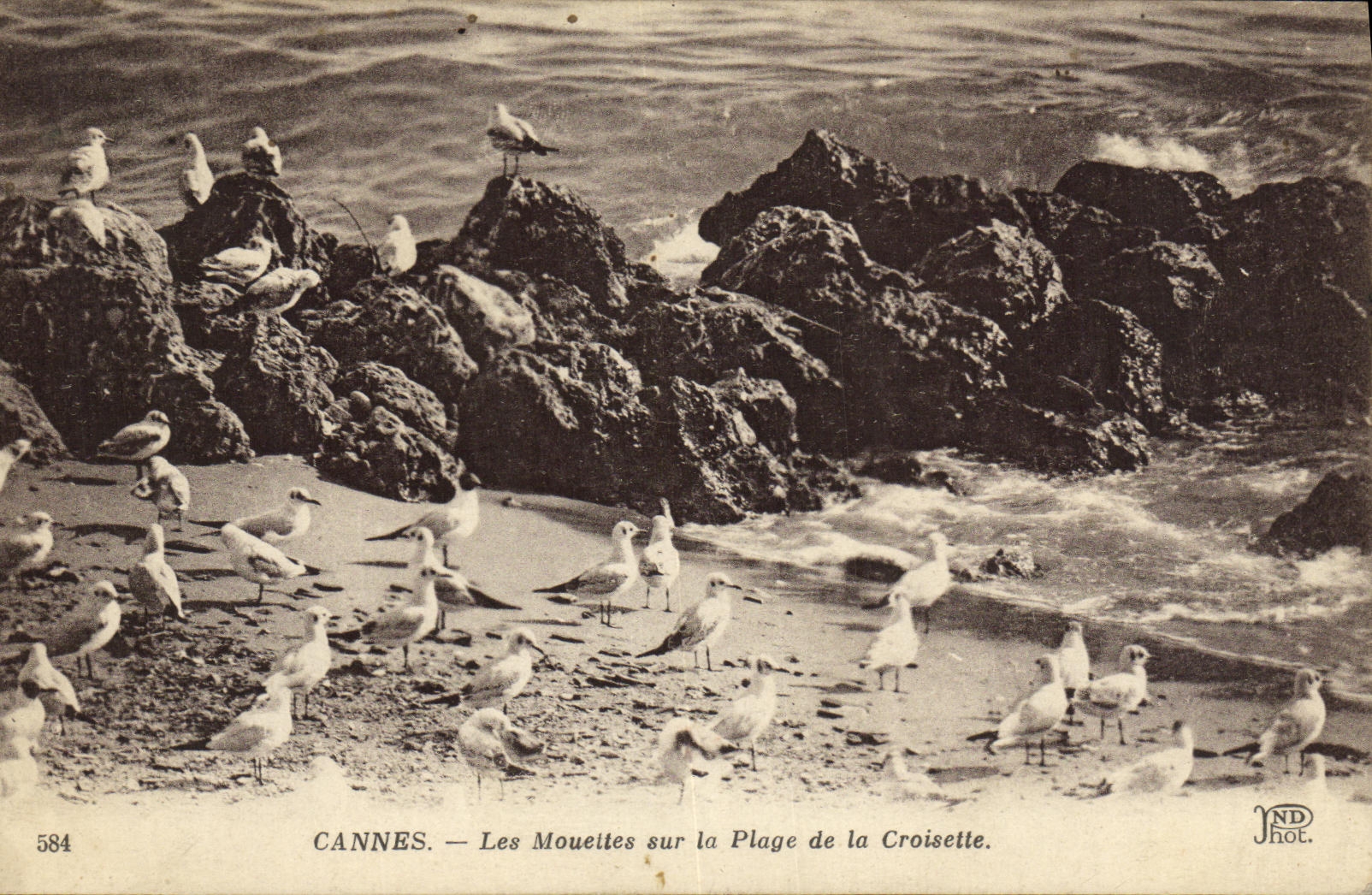 VINTAGE POSTCARD Cannes Gulls on the Beach of the Small cross