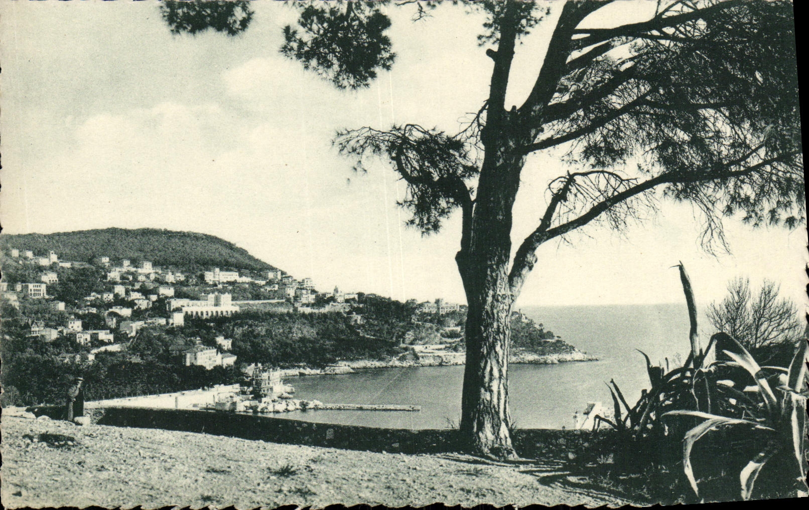 POSTAL de la VENDIMIA Niza el montaje del boro y el L incorporados del puerto vista del castillo
