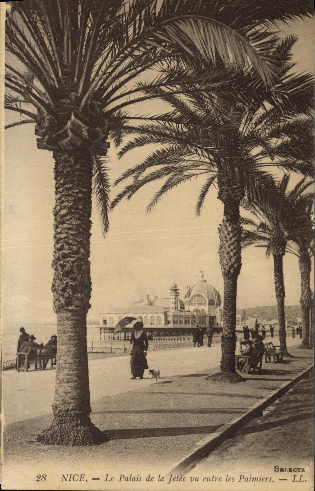 VINTAGE POSTCARD Nice the Palate of the Pier Seen Between the Palm trees
