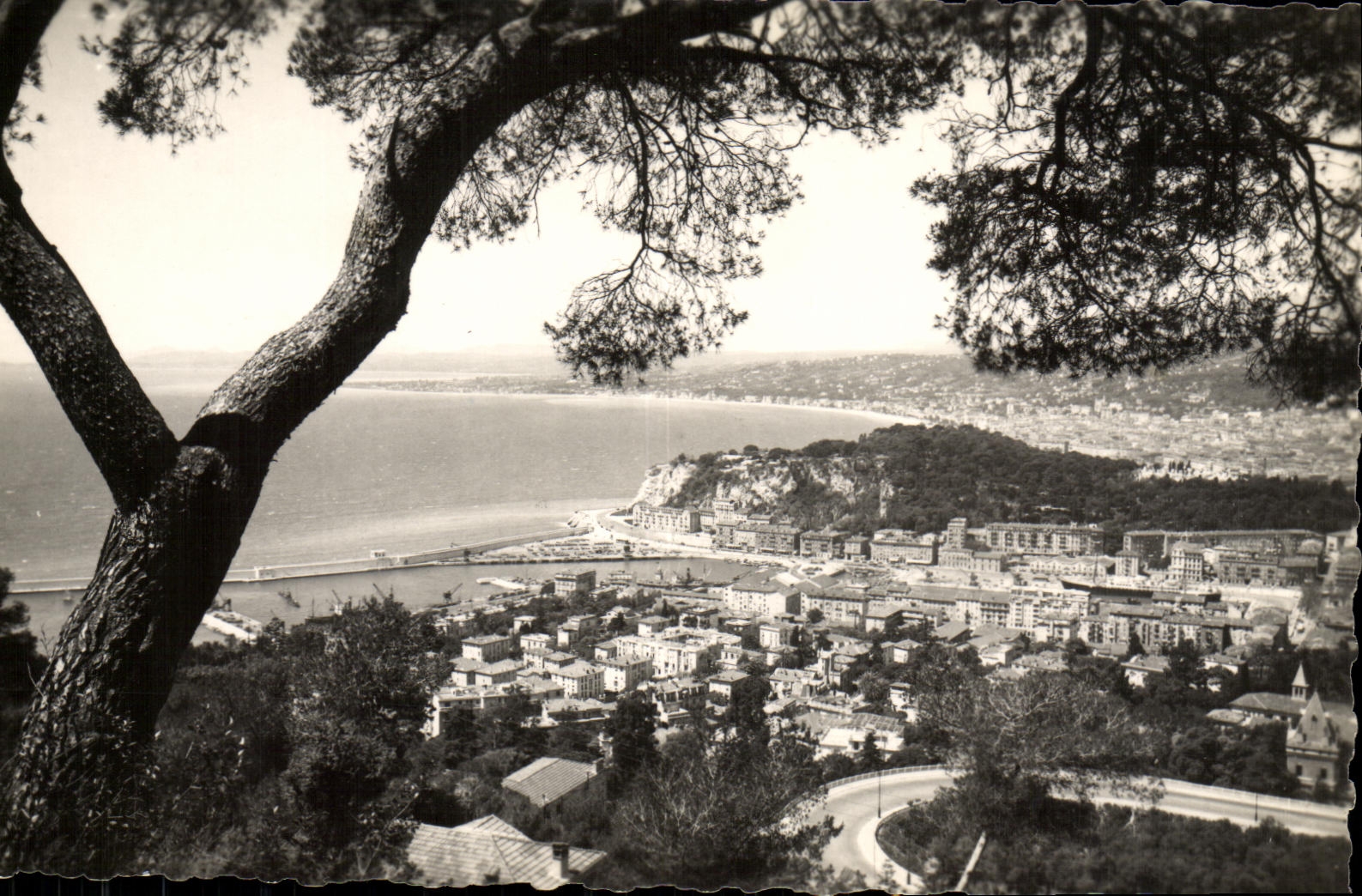 Opinion de la POSTAL de la VENDIMIA Niza tomada del montaje del Imbecil