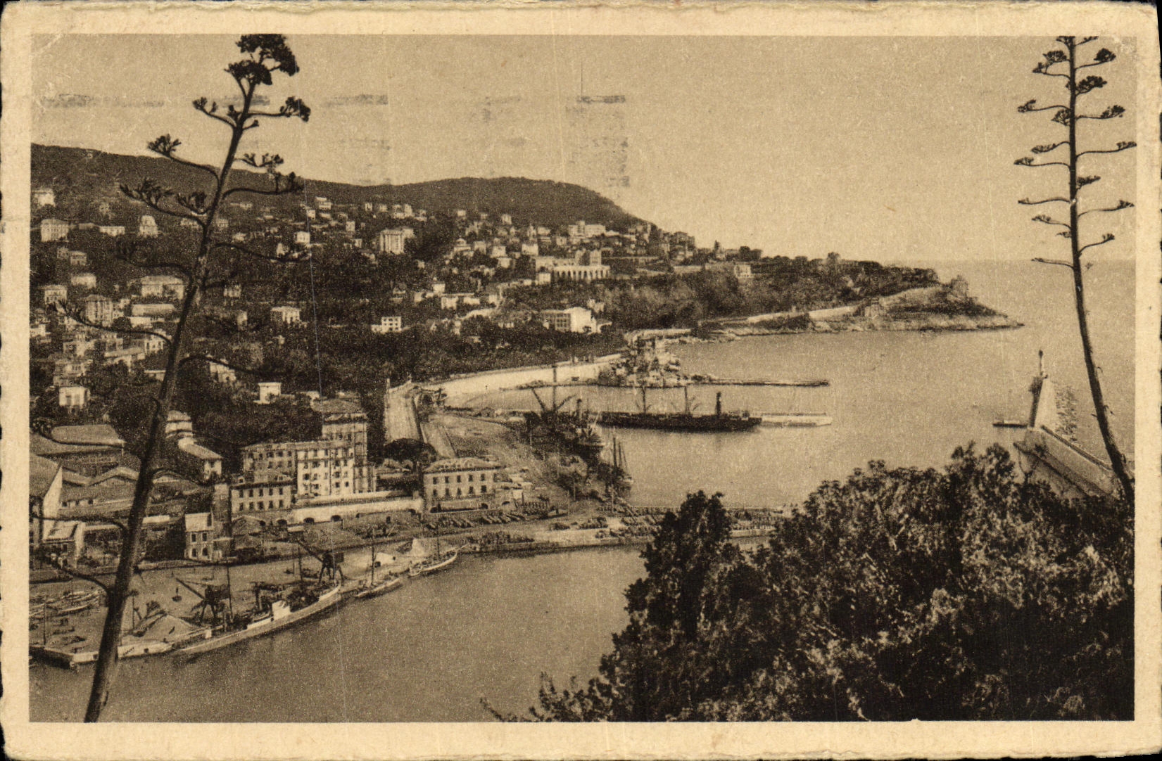 CPA Nice Entree Du Port Mont Boron