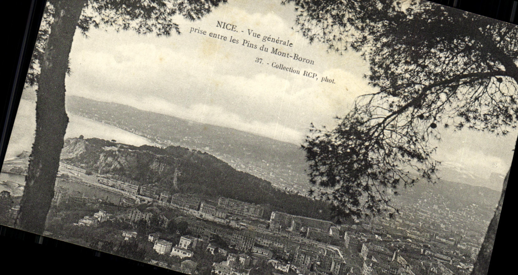 Opinion de la POSTAL de la VENDIMIA Niza tomada entre los pinos del montaje del boro