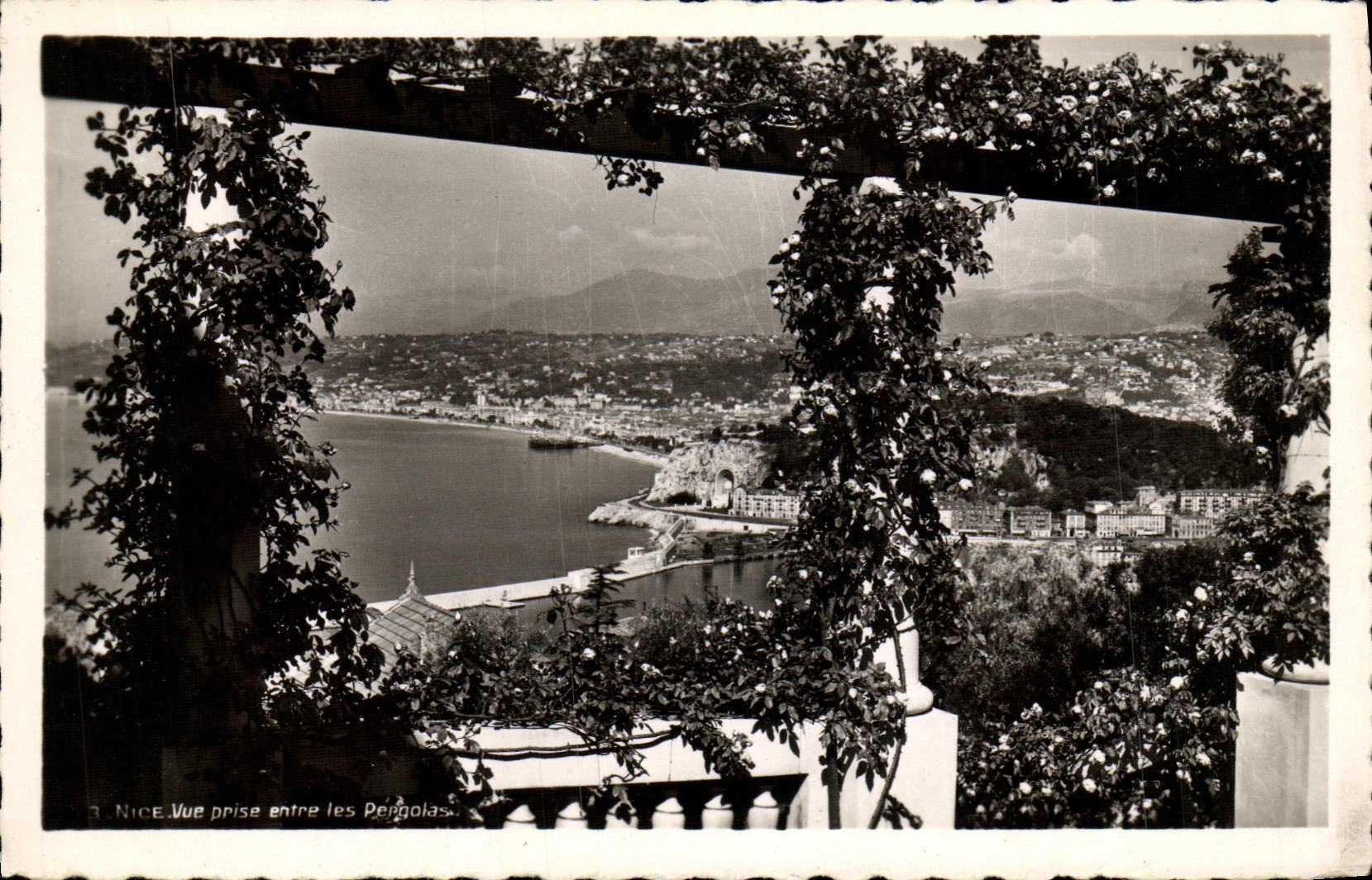 POSTAL de la VENDIMIA Niza vista entre las pergolas