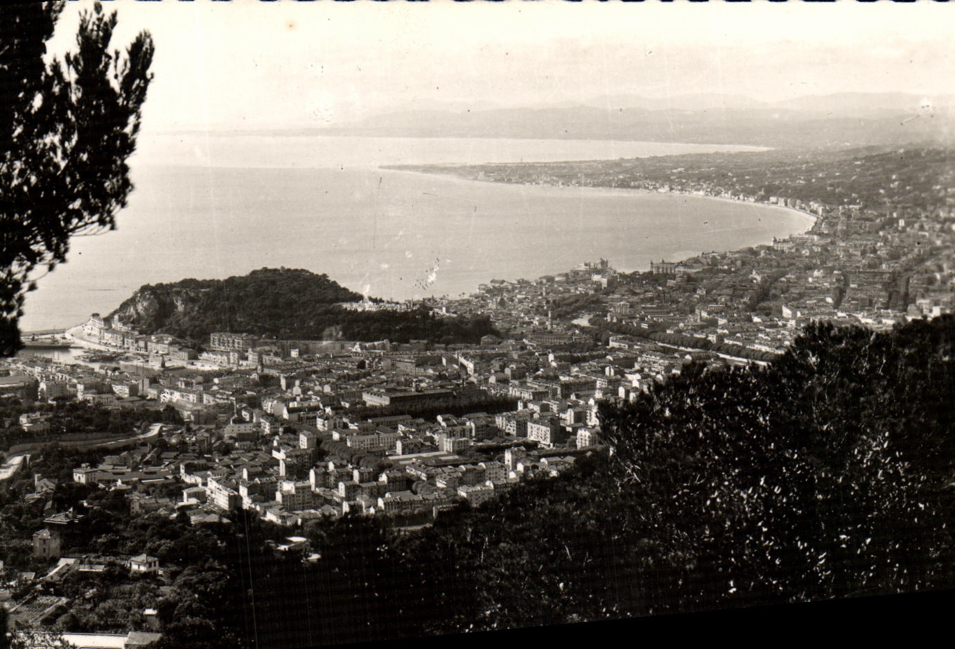 POSTAL Niza Basilea de la VENDIMIA de los angeles