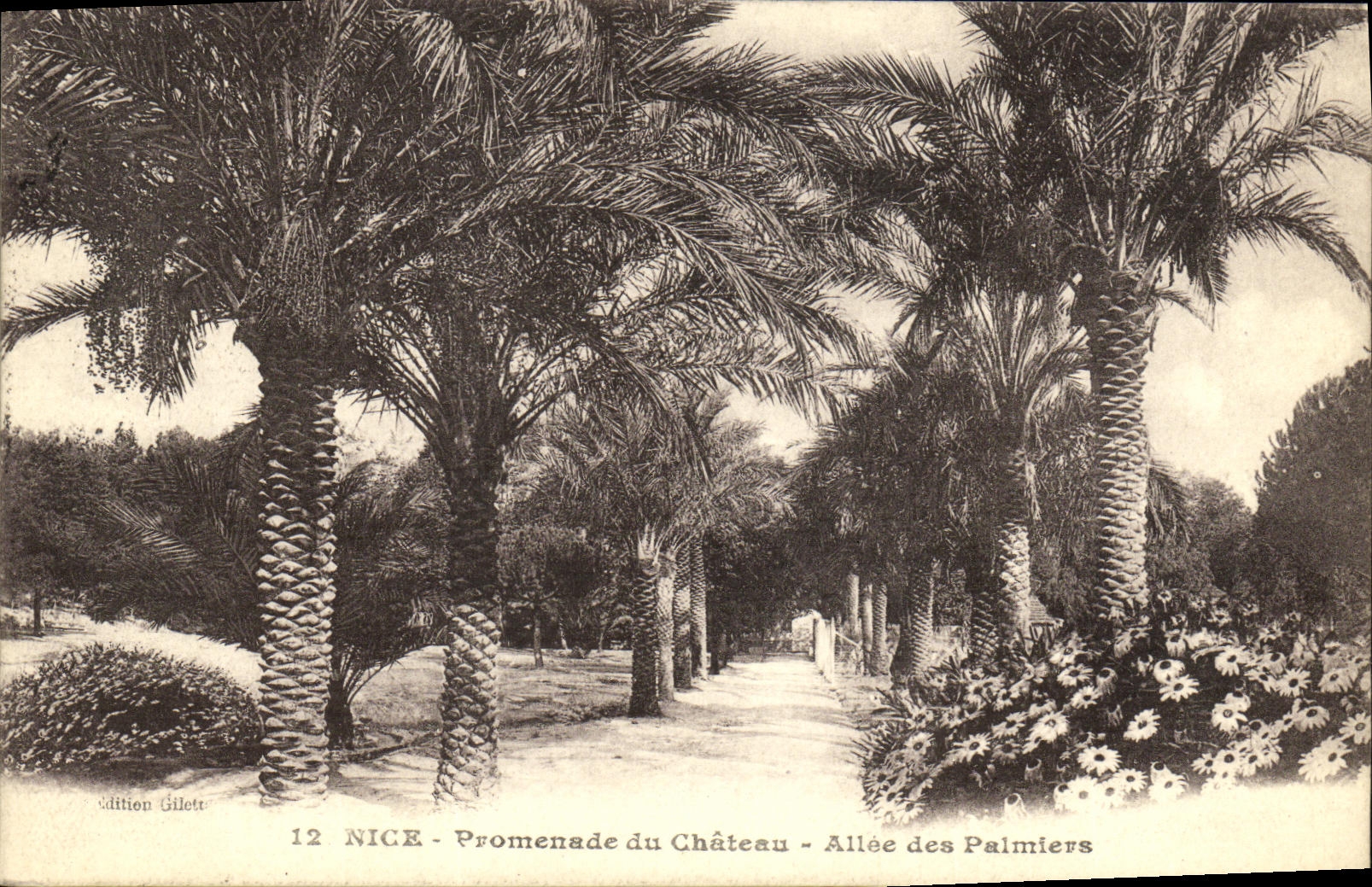 CPA Nice Promenade du Chateau Allee des Palmiers