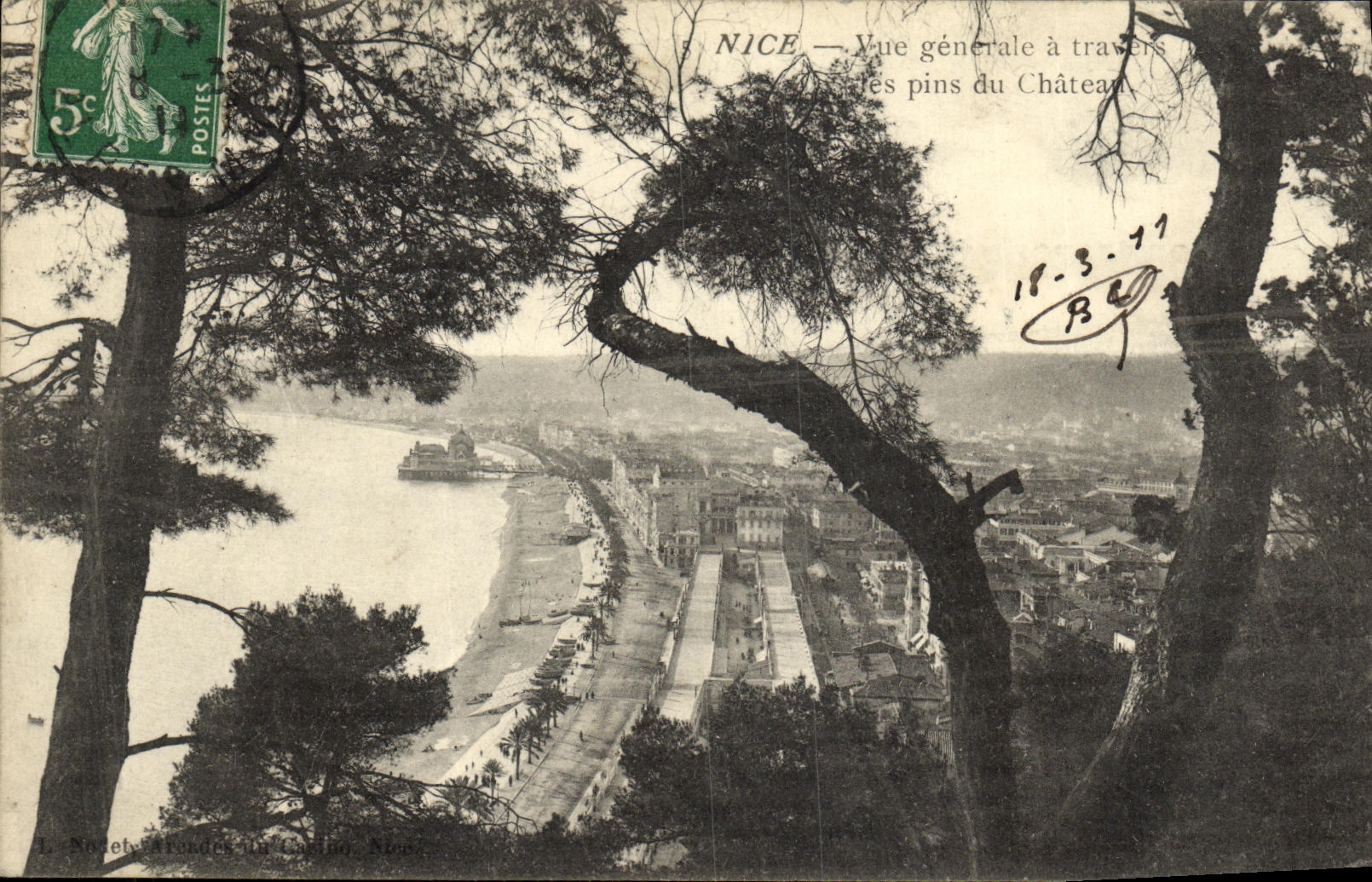 Opinion de la POSTAL de la VENDIMIA Niza a traves de los pinos del castillo