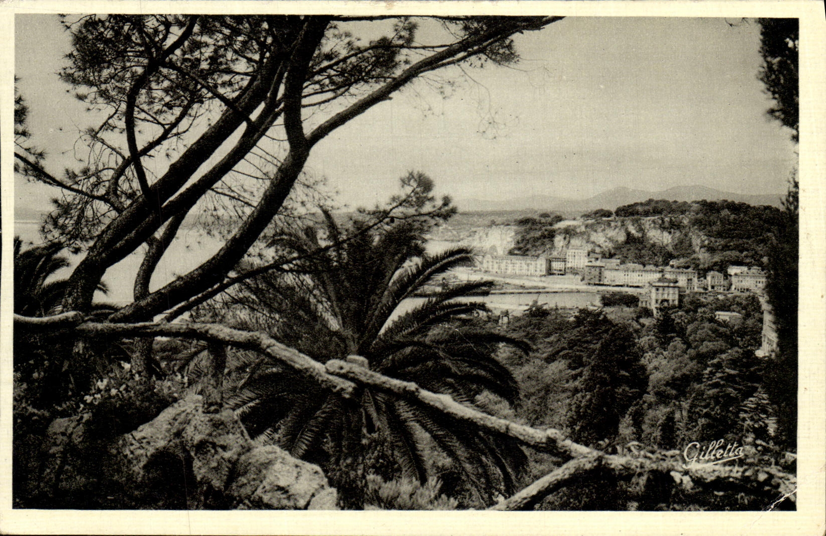 Niza de la POSTAL de la VENDIMIA escapada en Niza a traves de la flora