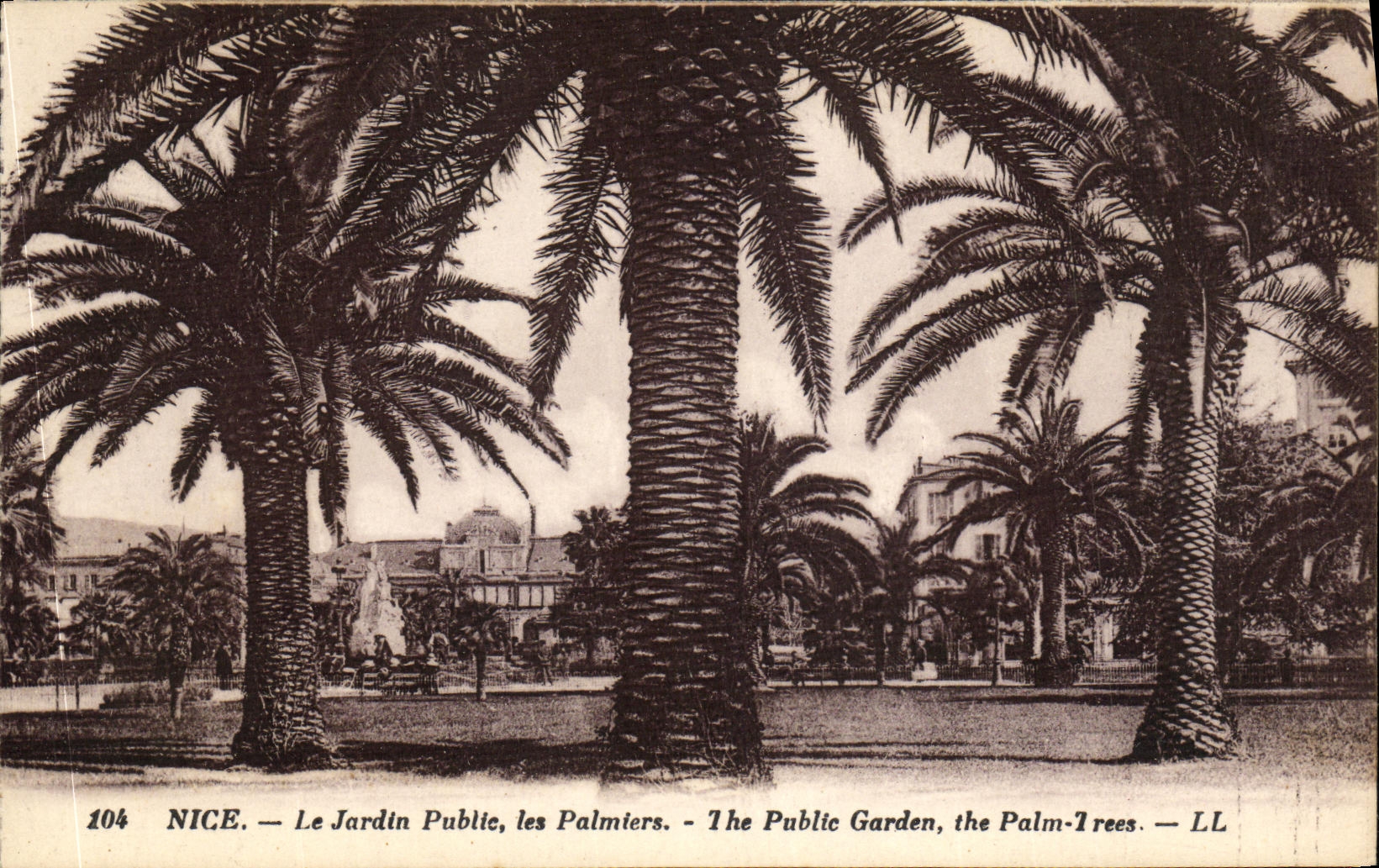 CPA Nice Le Jardin Public les Palmiers