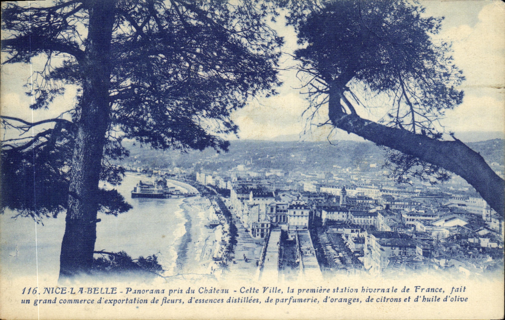 Hermoso de la POSTAL de la VENDIMIA Niza el panorama tomado del castillo