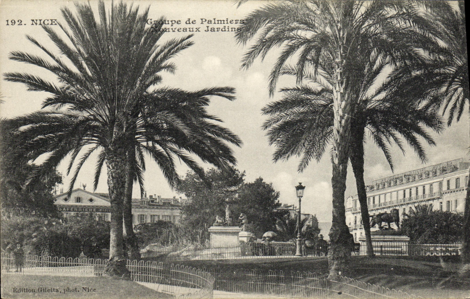 CPA Nice Groupe de Palmiers