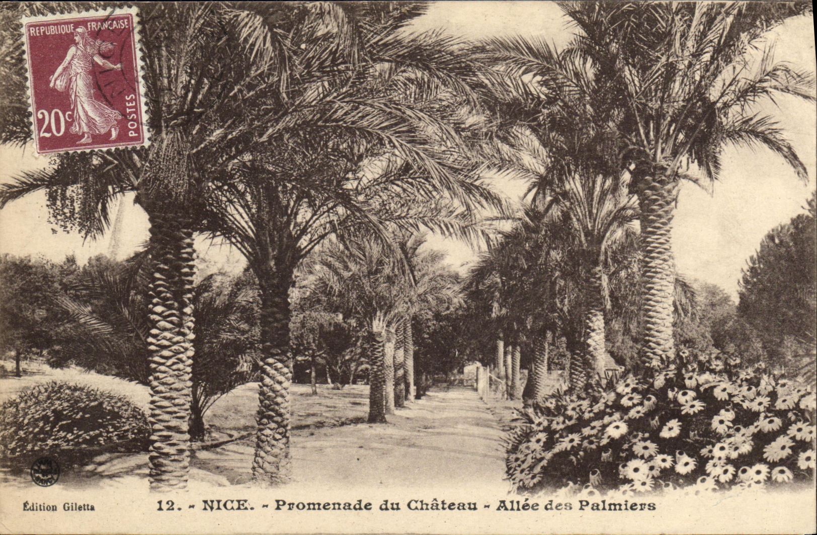 CPA Nice Promenade du Chateau Allee des Palmiers