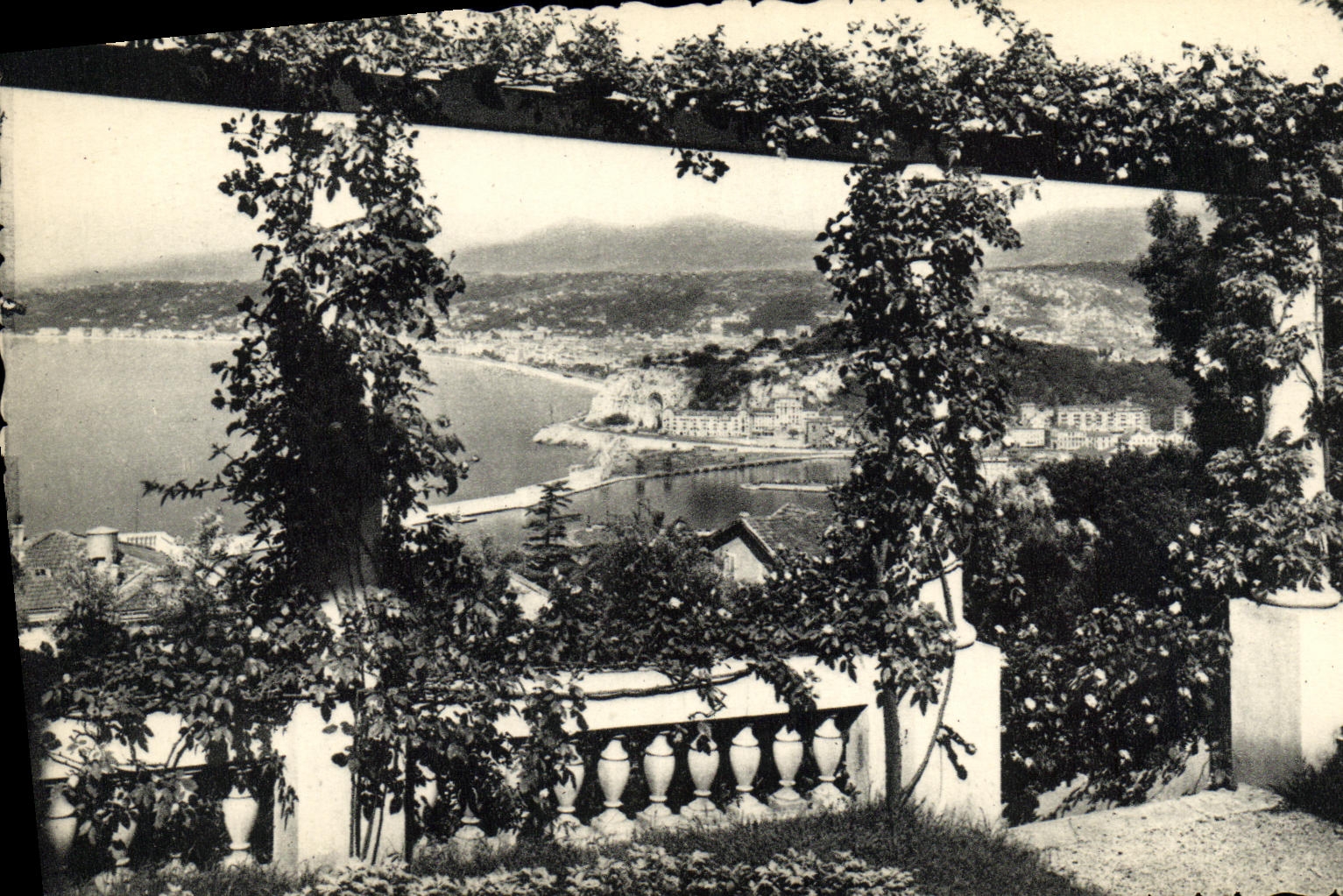 CPA Nice Vue prise entre les pergolas fleuries