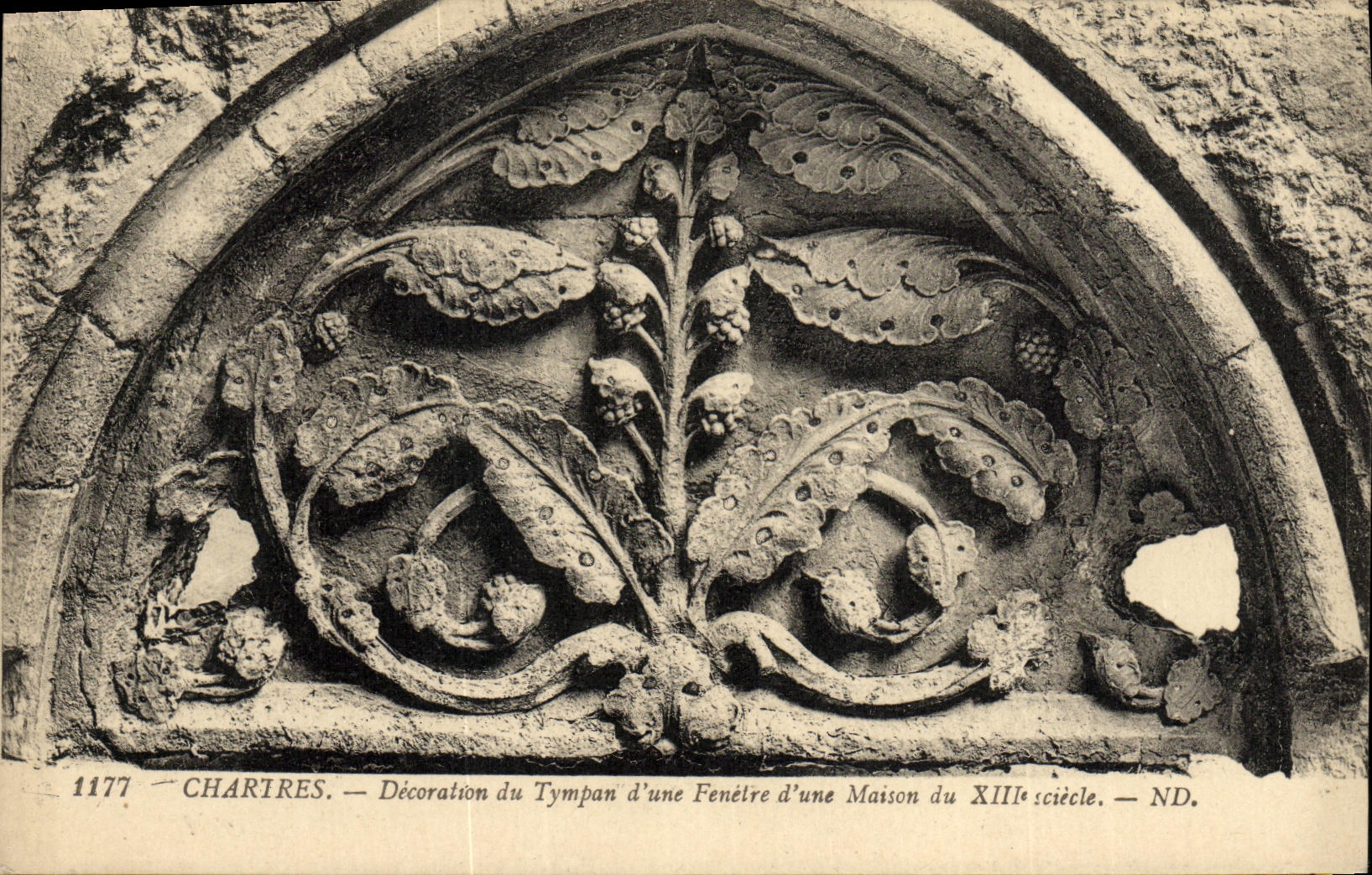 CPA Cathedrale de Chartres Decoration du Tympan d Une Fenetre du 13eme
