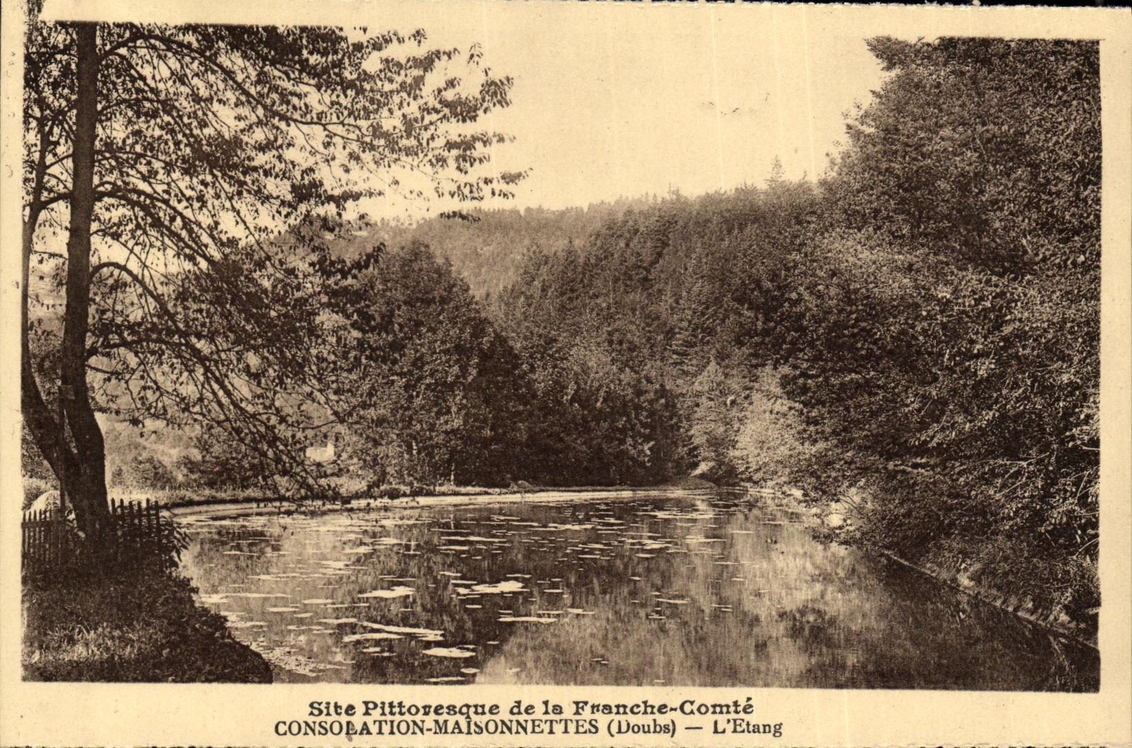 CPA Consolation Maisonnettes L Etang