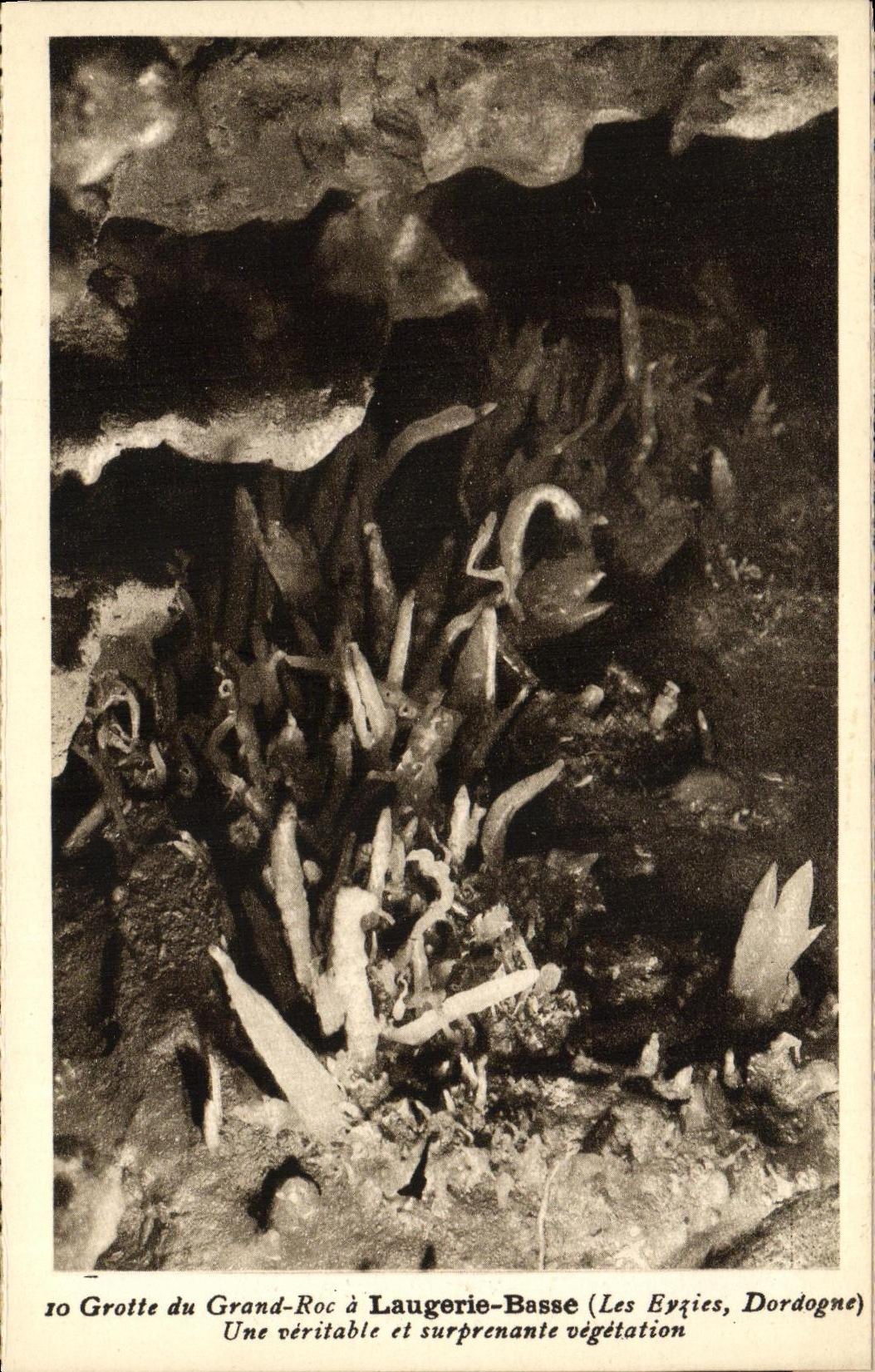 CPA Laugerie Basse Grotte du Grand Roc a Cristallisations