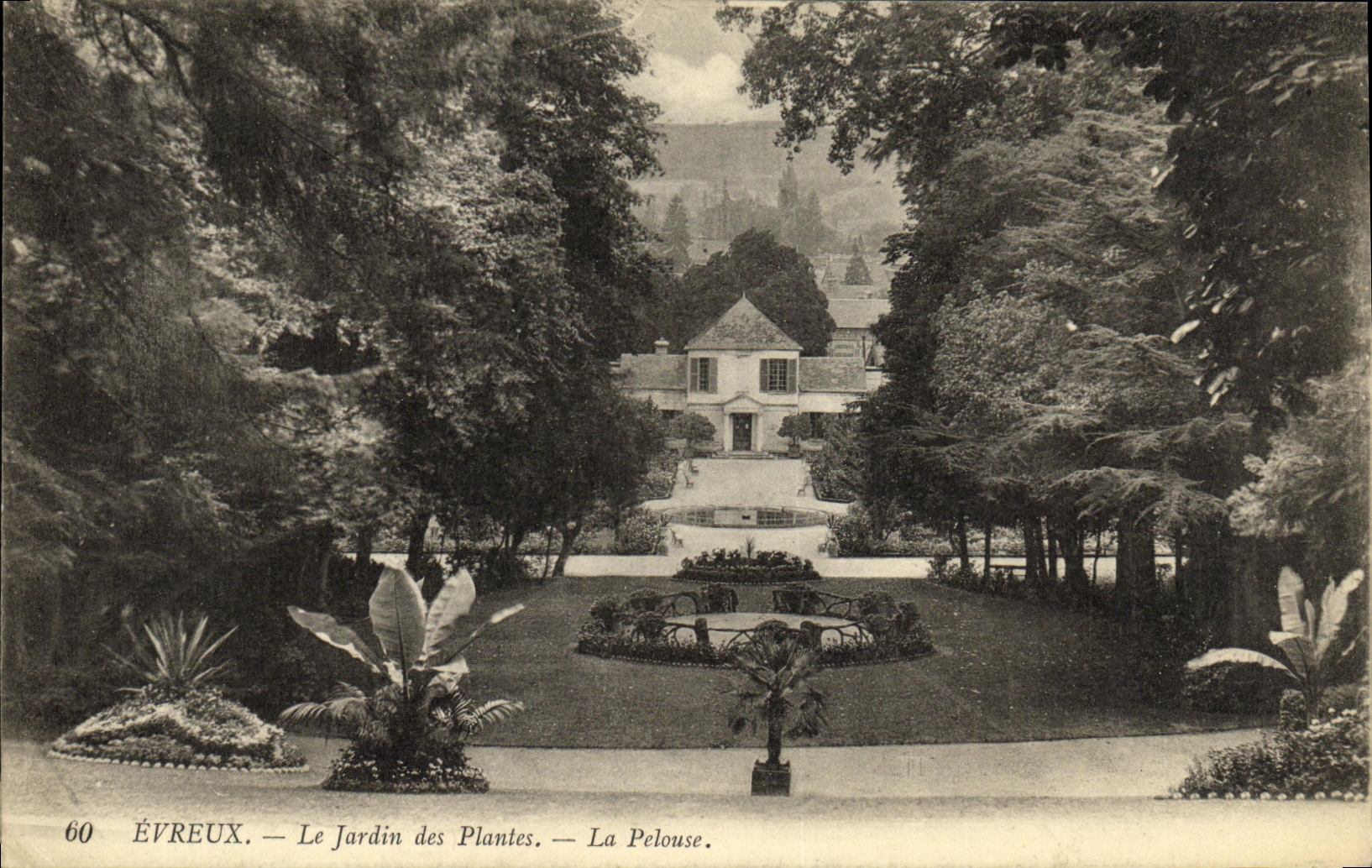 POSTAL Evreux de la VENDIMIA el jardin botanico el cesped