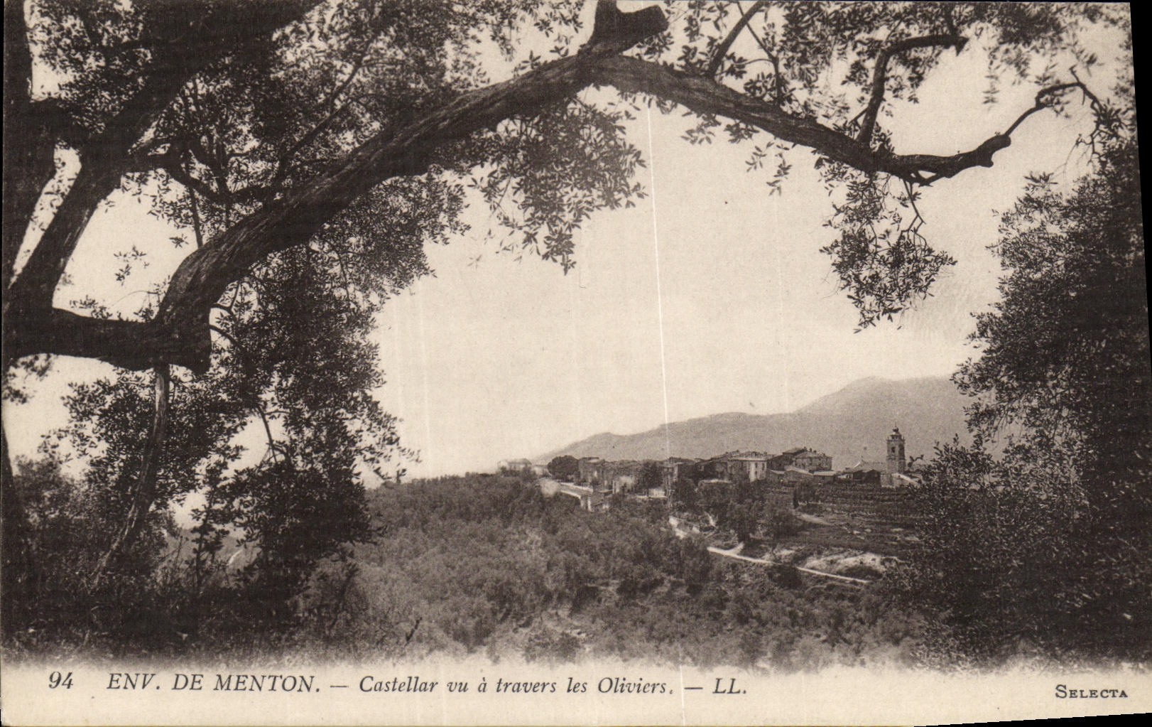 CPA Environs de Menton Castellar Vu Travers Les Oliviers