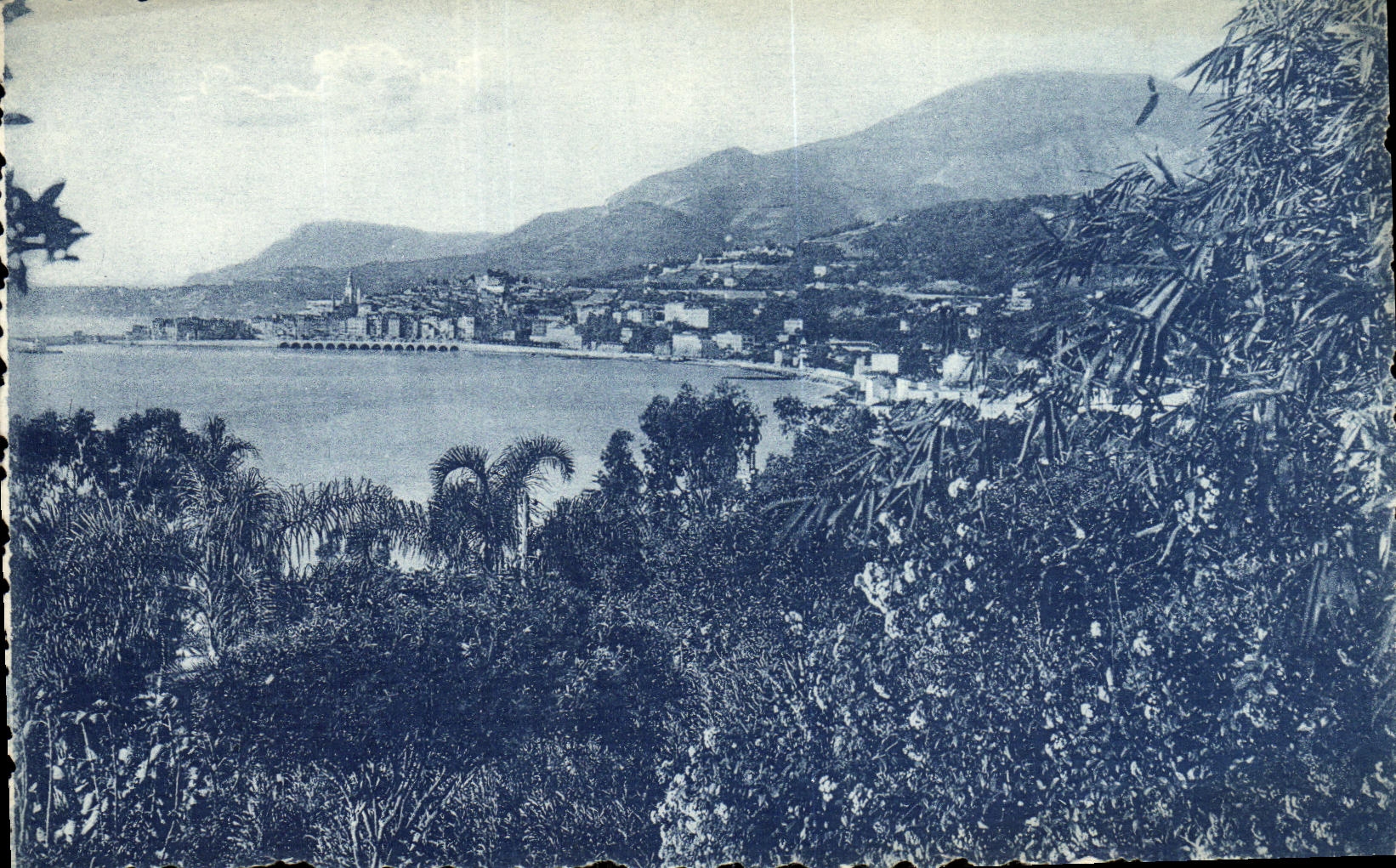 CPA Menton Vu des Jardins de Garavau