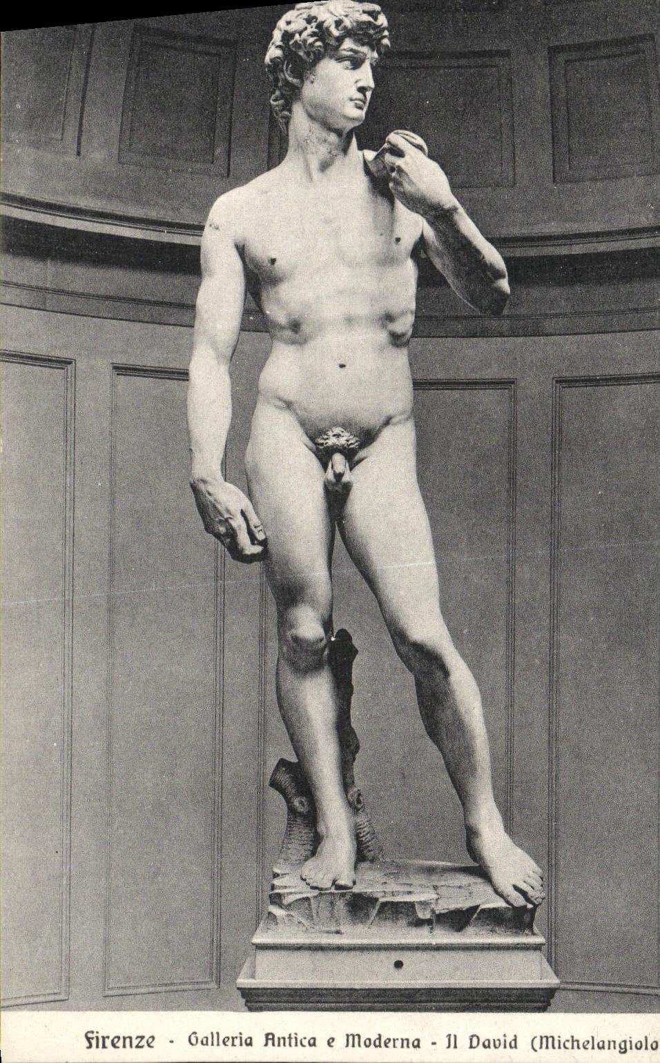 VINTAGE POSTCARD Firenze It David Michelangiola