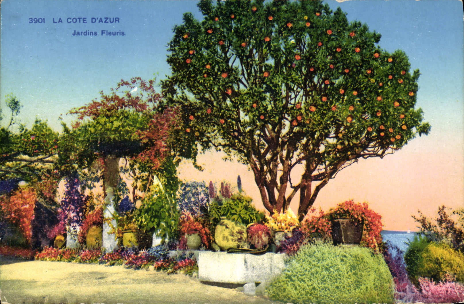 CPA La Cote D Azur Jardins Fleuris