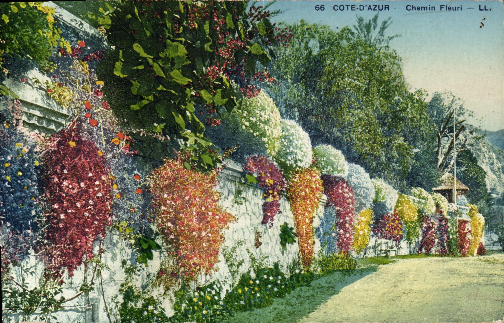 CPA Cote d azur Chemin Fleuri