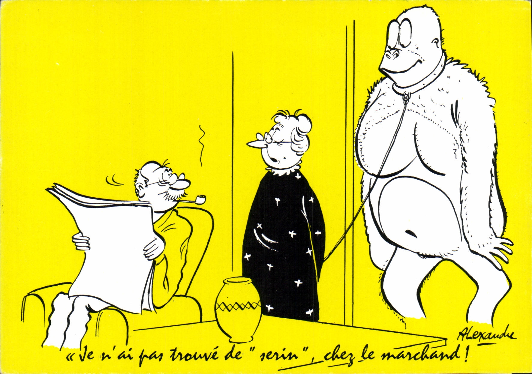 CPM Gorille Singe Alexandre