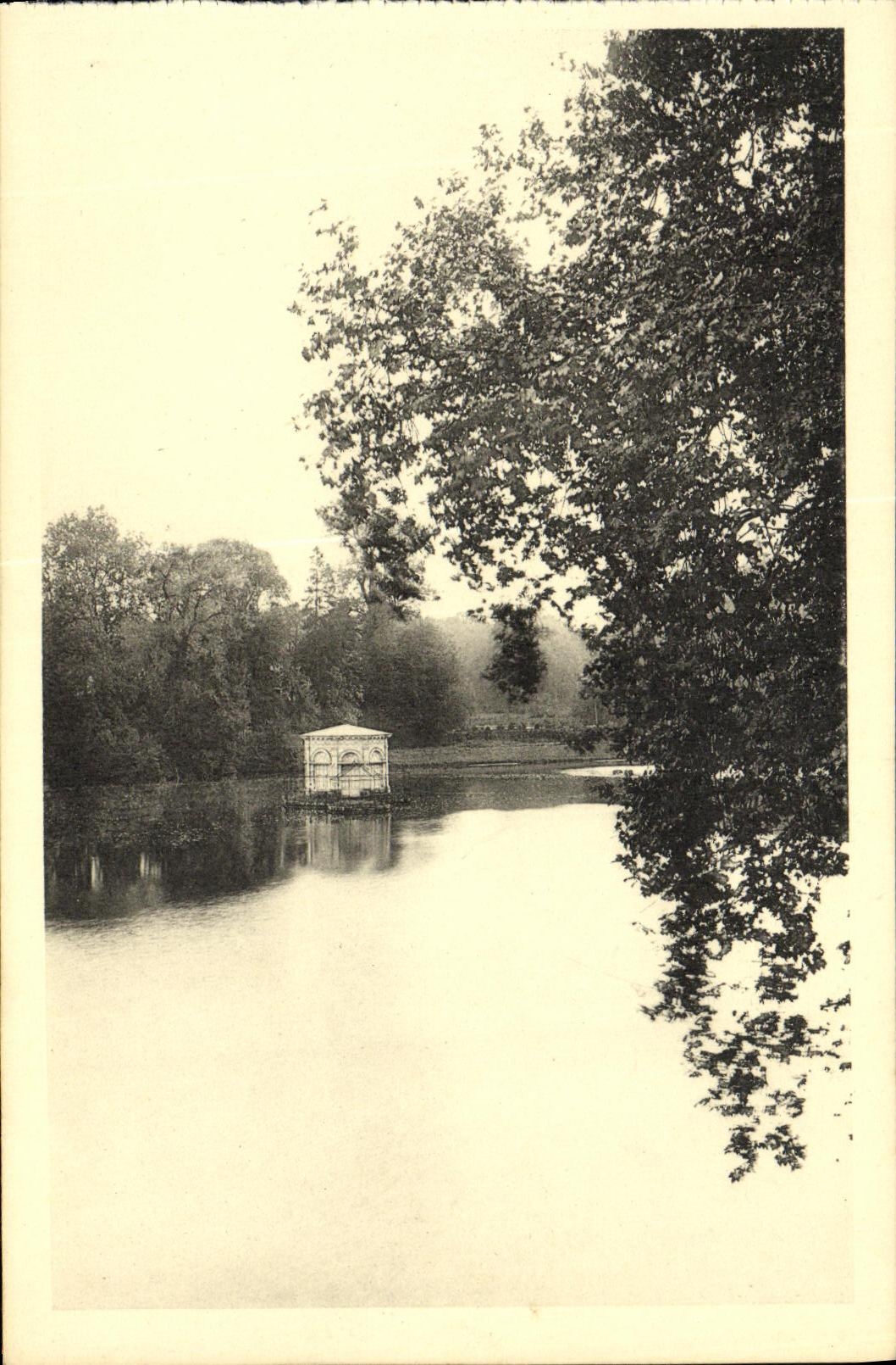 CPA Chateau de Fontainebleau L Etang des Carpes
