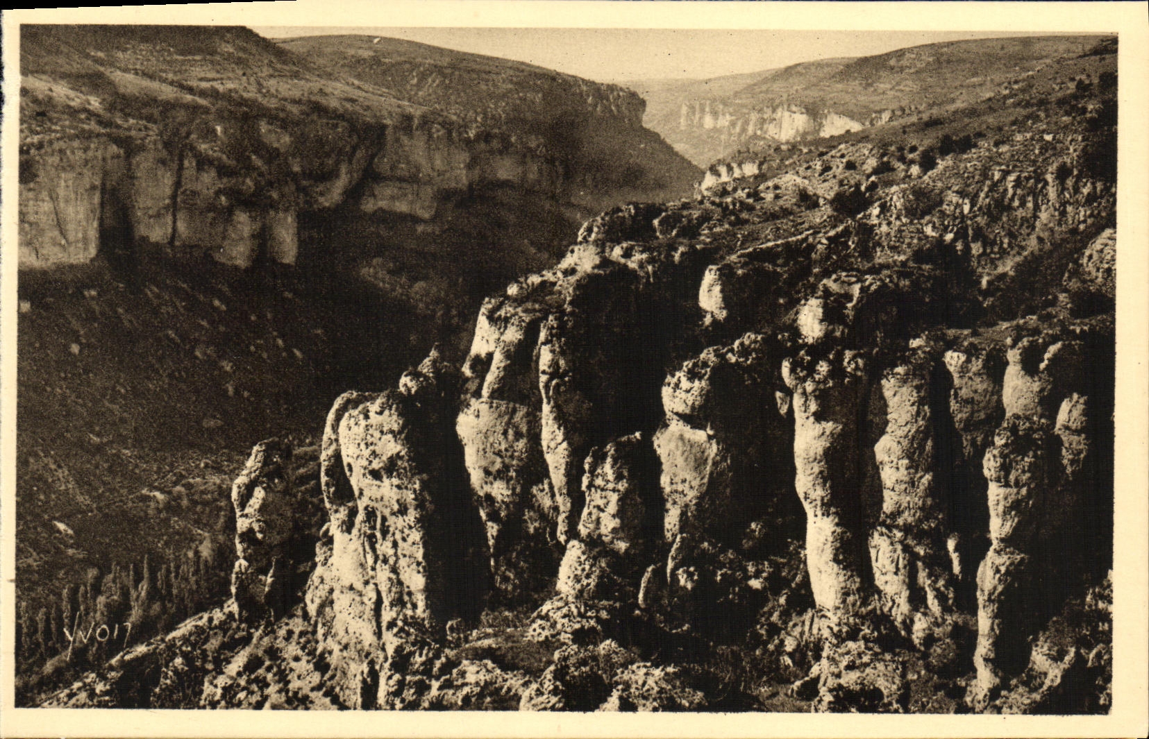 CPA Gorges du Tarn Le Canon de la Jonte