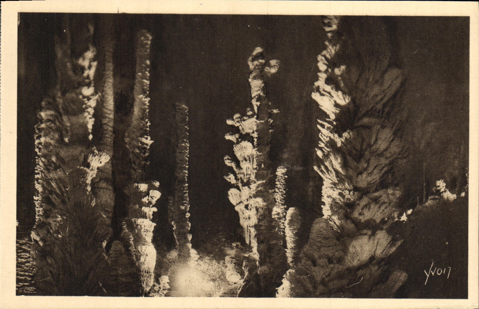 CPA La Merveille Souterraine des Gorges du Tarn Aven Armand Entree de la Foret Vierge