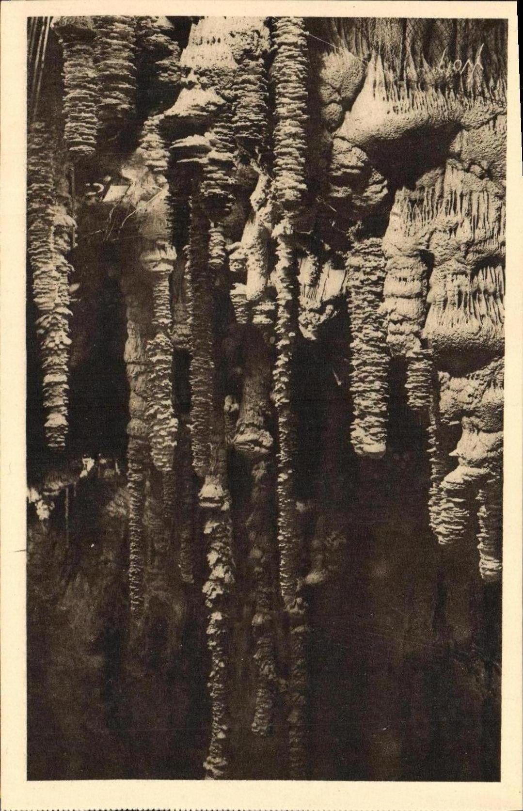 CPA La Merveille Souterraine des Groges du Tarn Aven Armand Differents genres de stalagmites