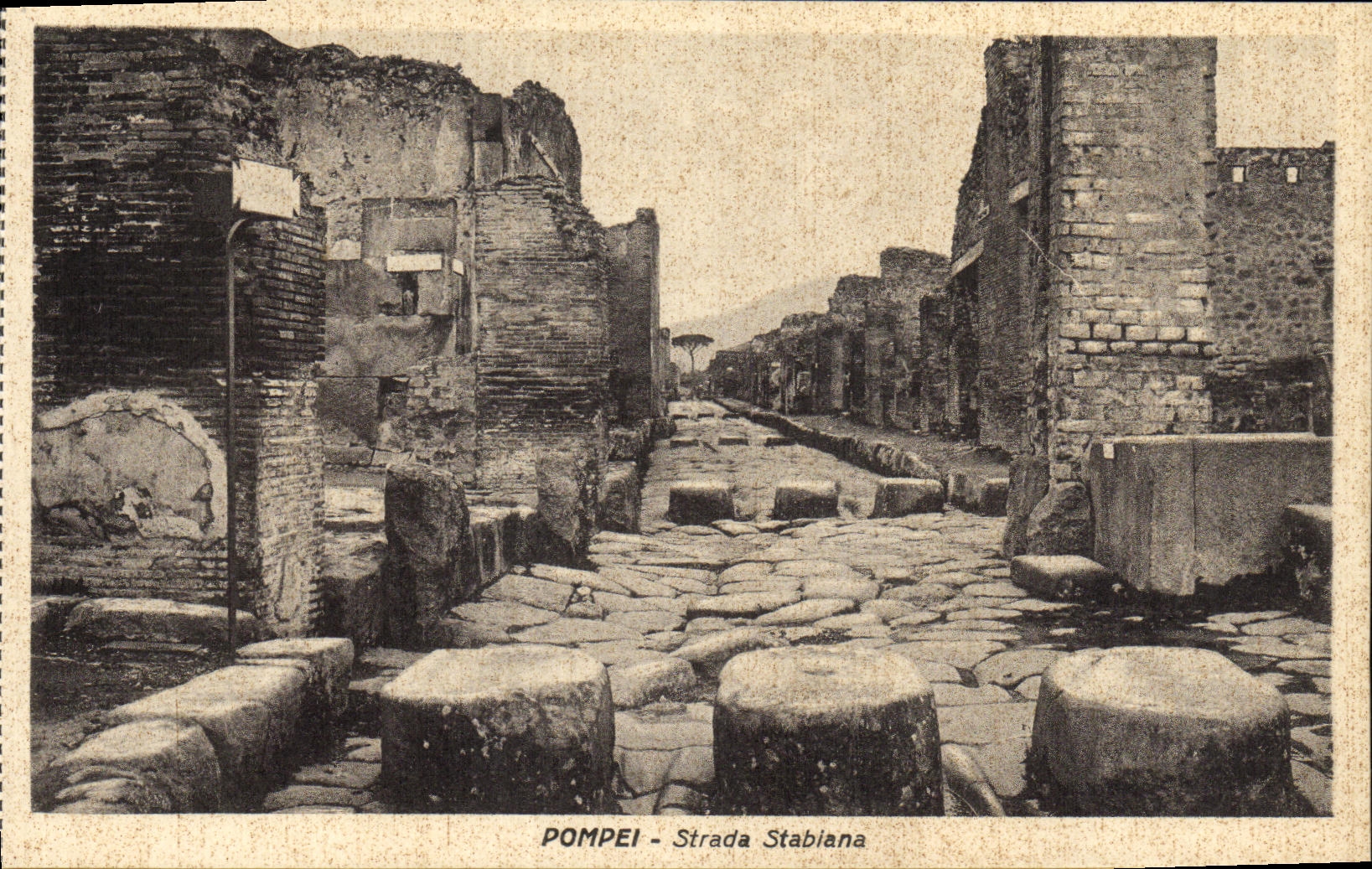 POSTAL Pompeya Strada Stabiana de la VENDIMIA