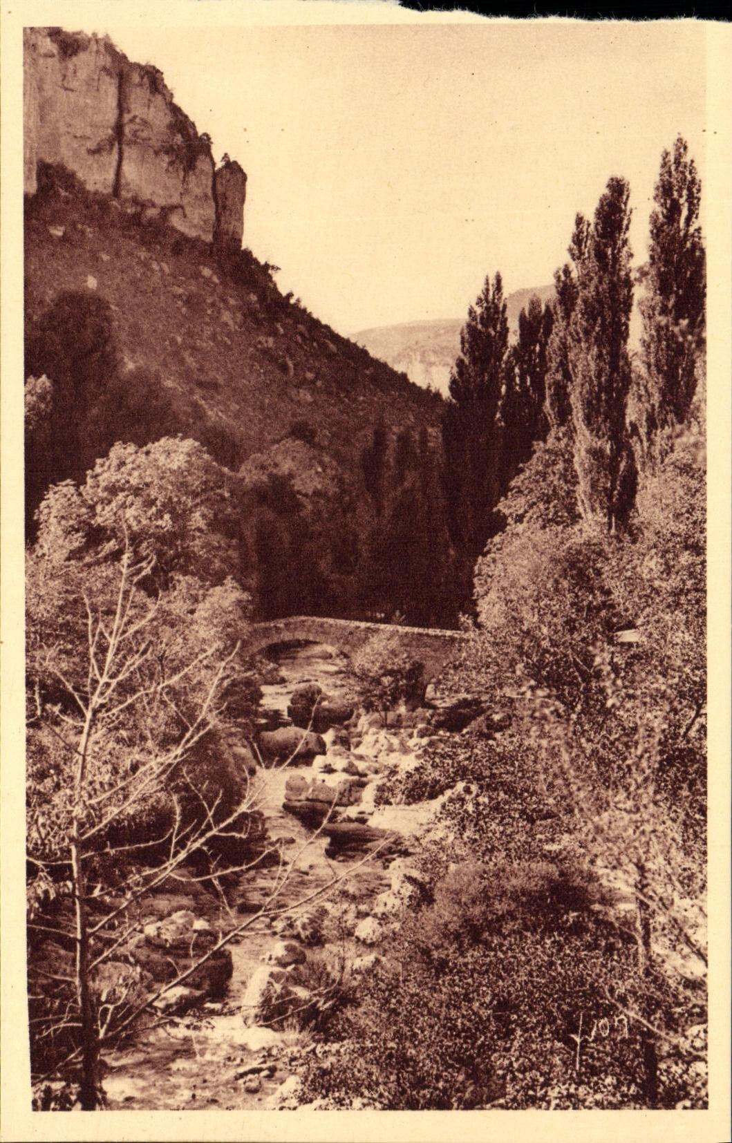 CPA Gorges Du Tarn La Canon de la Jonte Fort Saint Michel bastion du Causse noir 