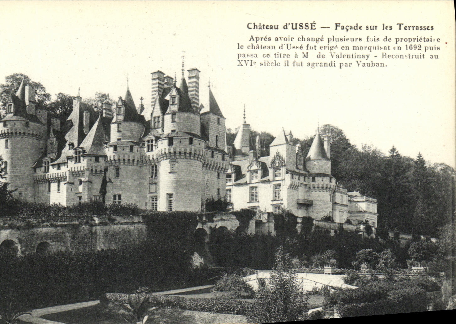 CPA Chateau d Usse Facade sur les Terrasses