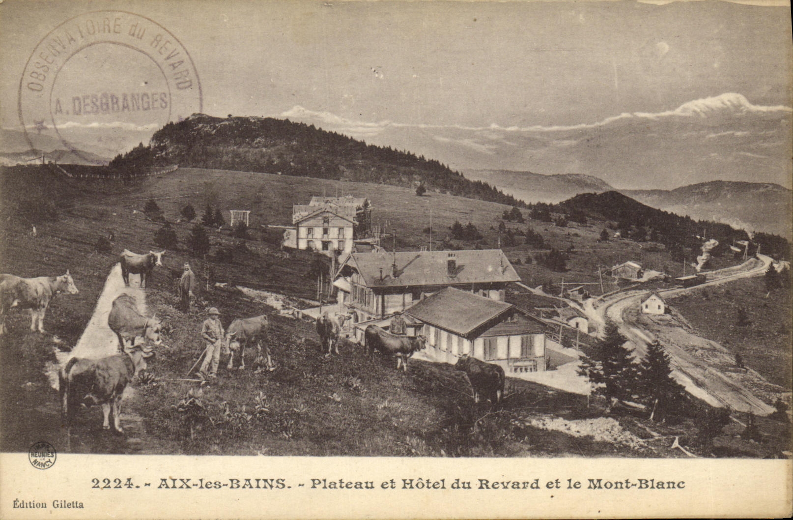 CPA Aix Les Bains Plateau et Hotel du Revard et le Mont Blanc Vaches