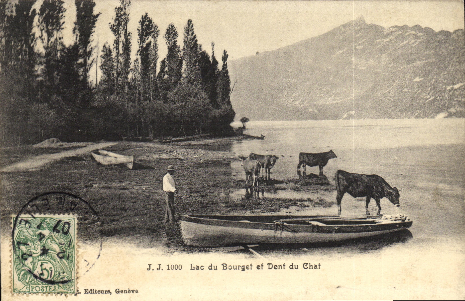 VINTAGE POSTCARD Lake of Le Bourget and Dent of the Cat Cows