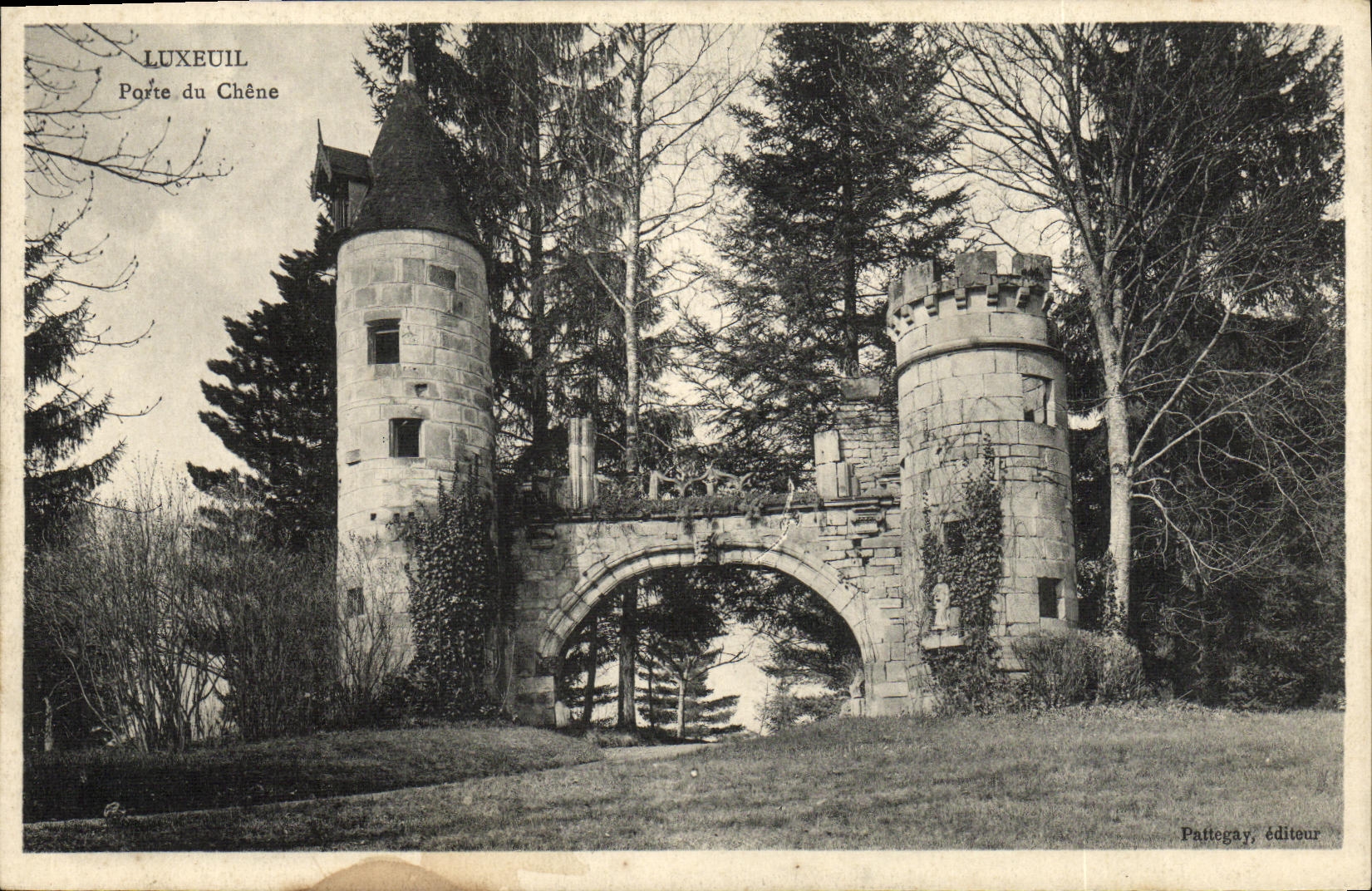 VINTAGE POSTCARD Luxeuil Carries Oak