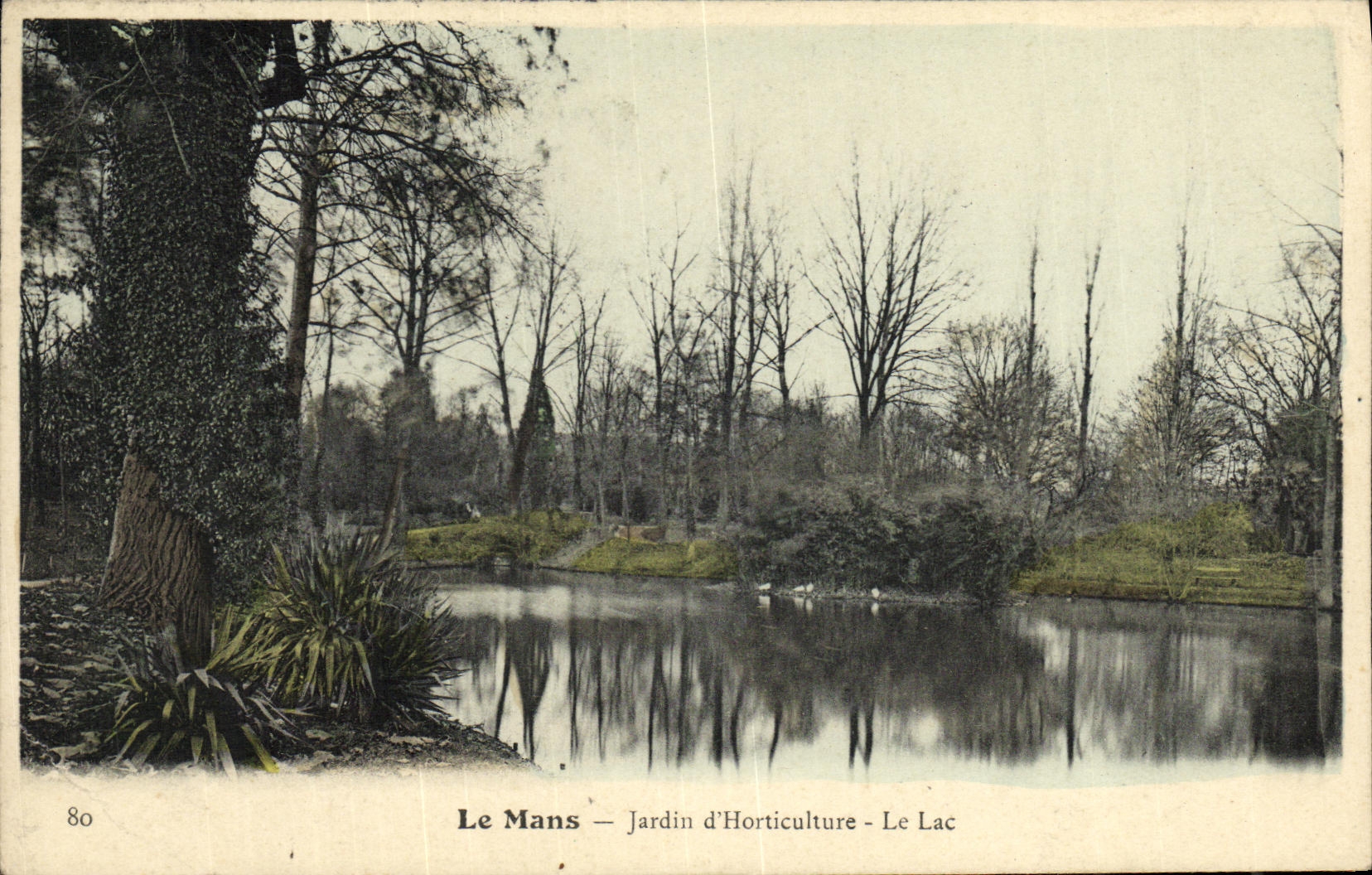VINTAGE POSTCARD Mans Garden D Horticulture the lake