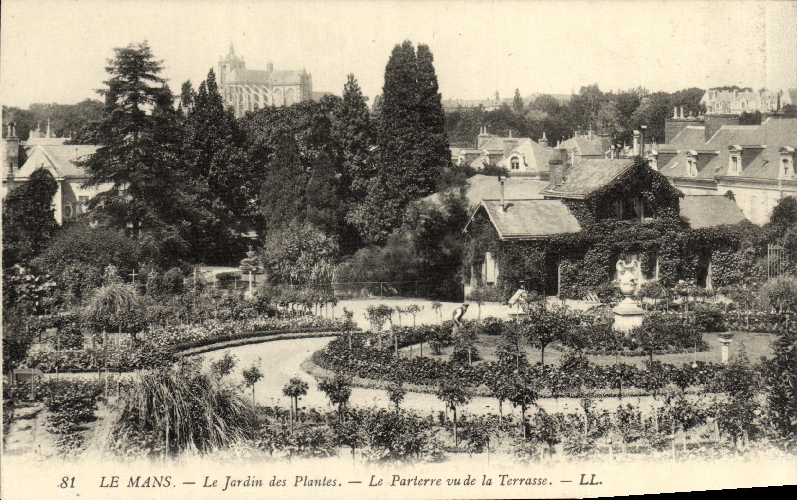 VINTAGE POSTCARD Mans the Botanical garden the Floor Seen of