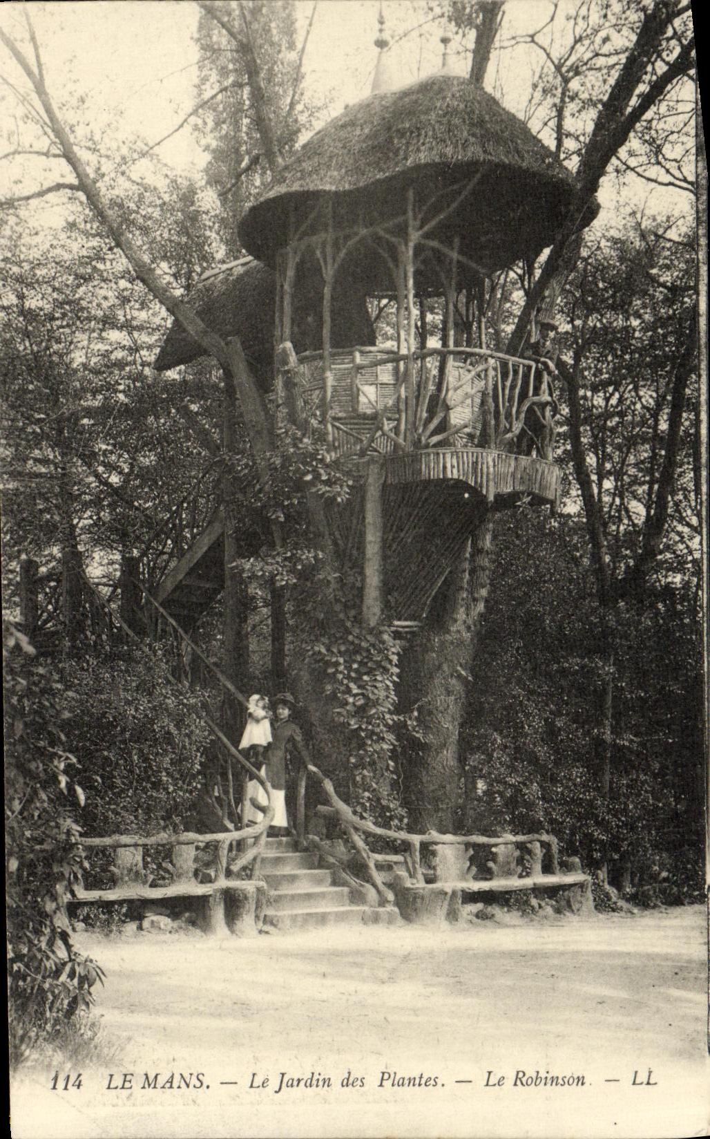 VINTAGE POSTCARD Mans the Botanical garden Robinson