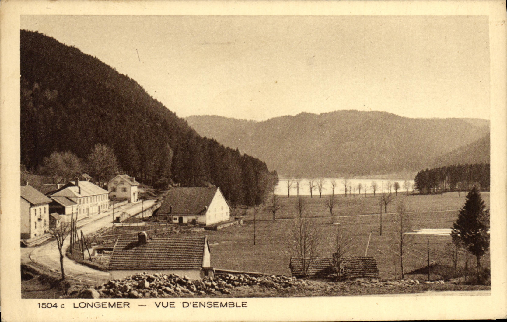 VINTAGE POSTCARD Longemer Seen Densemble