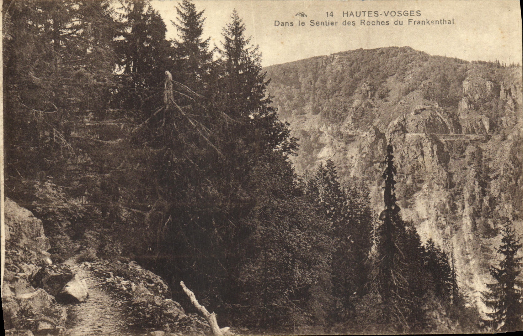 VINTAGE POSTCARD the High Vosges In the Path of the Rocks of Frankenthal