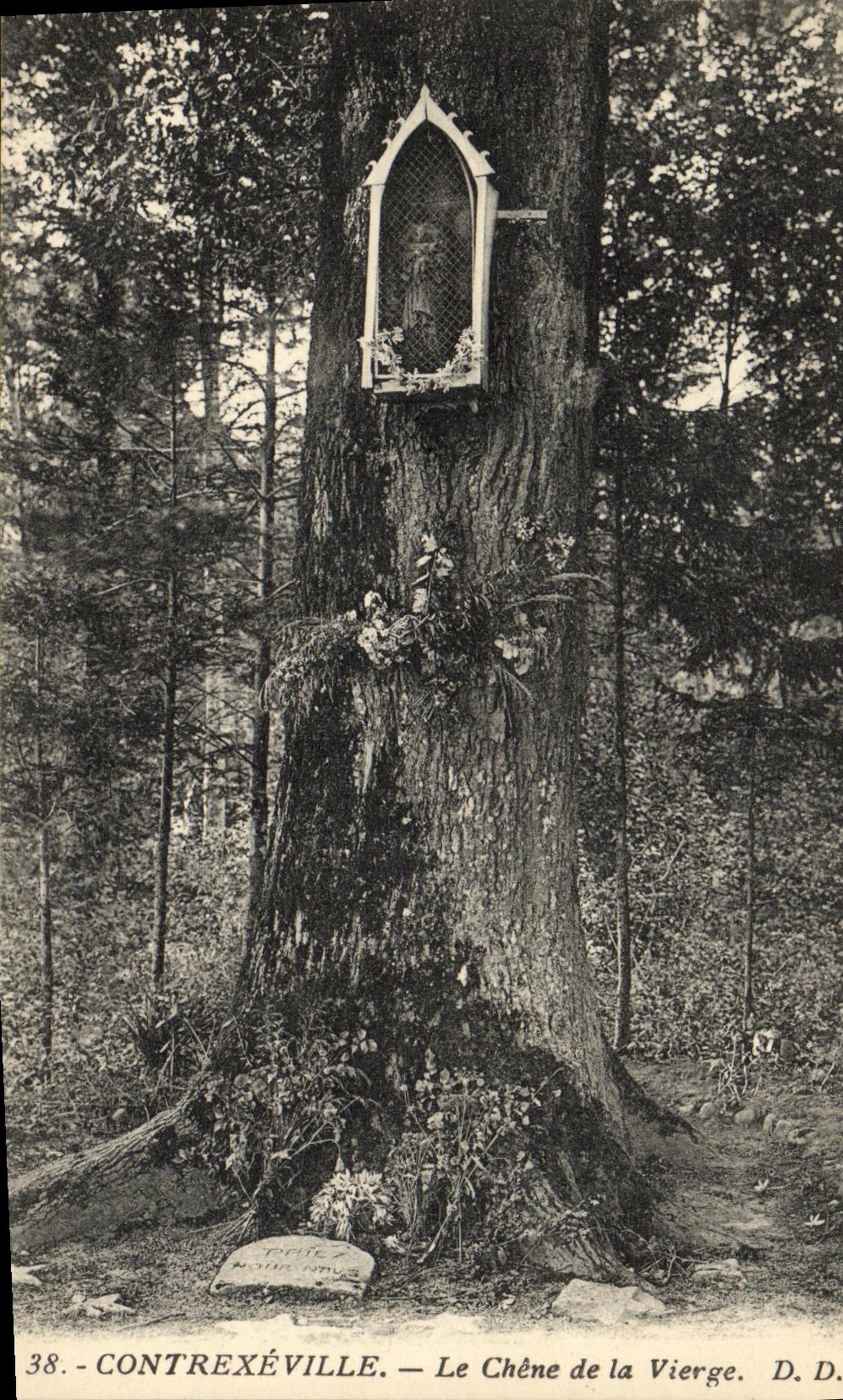 VINTAGE POSTCARD Contrexeville the oak of the virgin